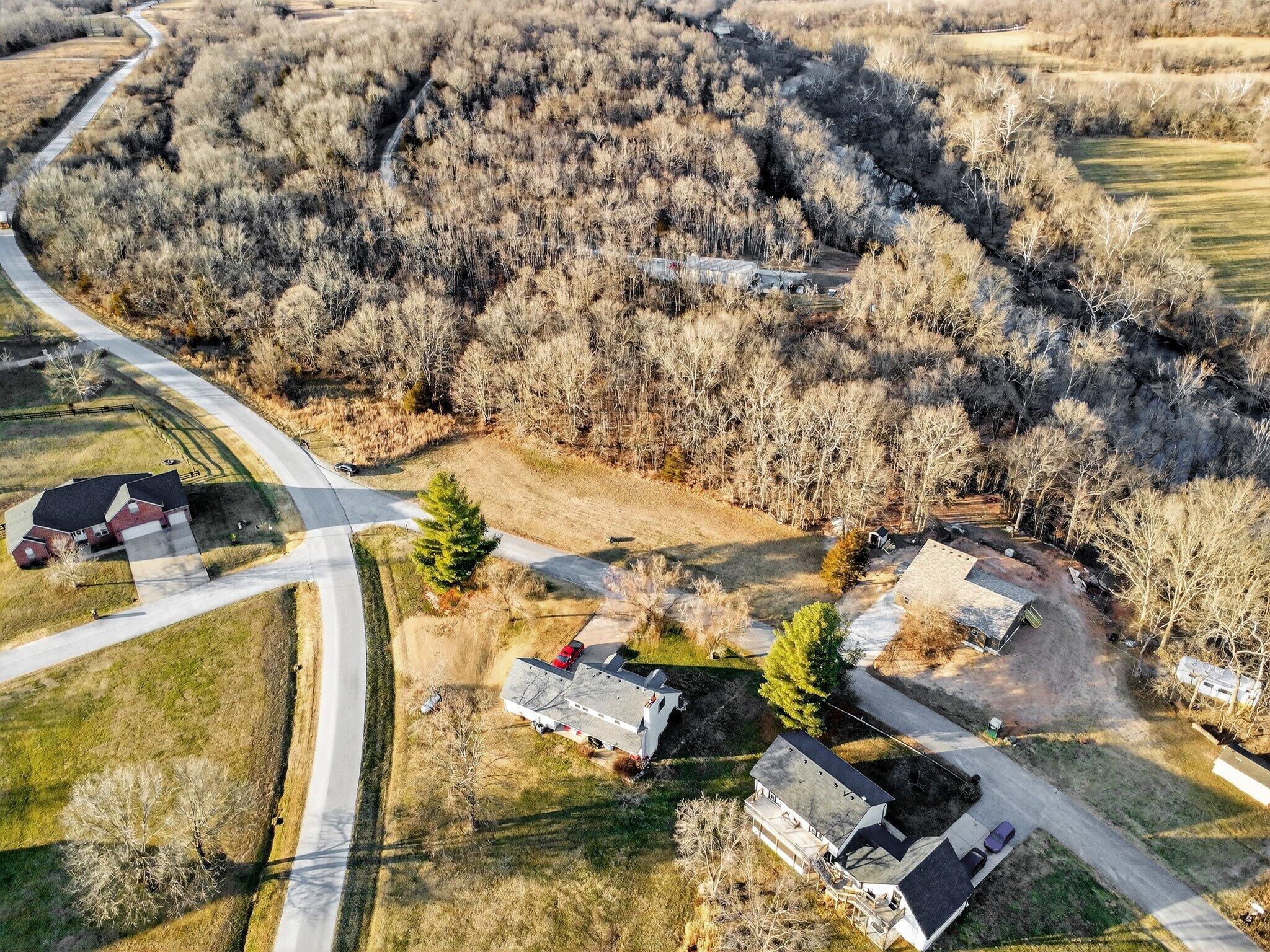 Photo 6 - Land for sale – 000  Dollar Street  Clever, MO