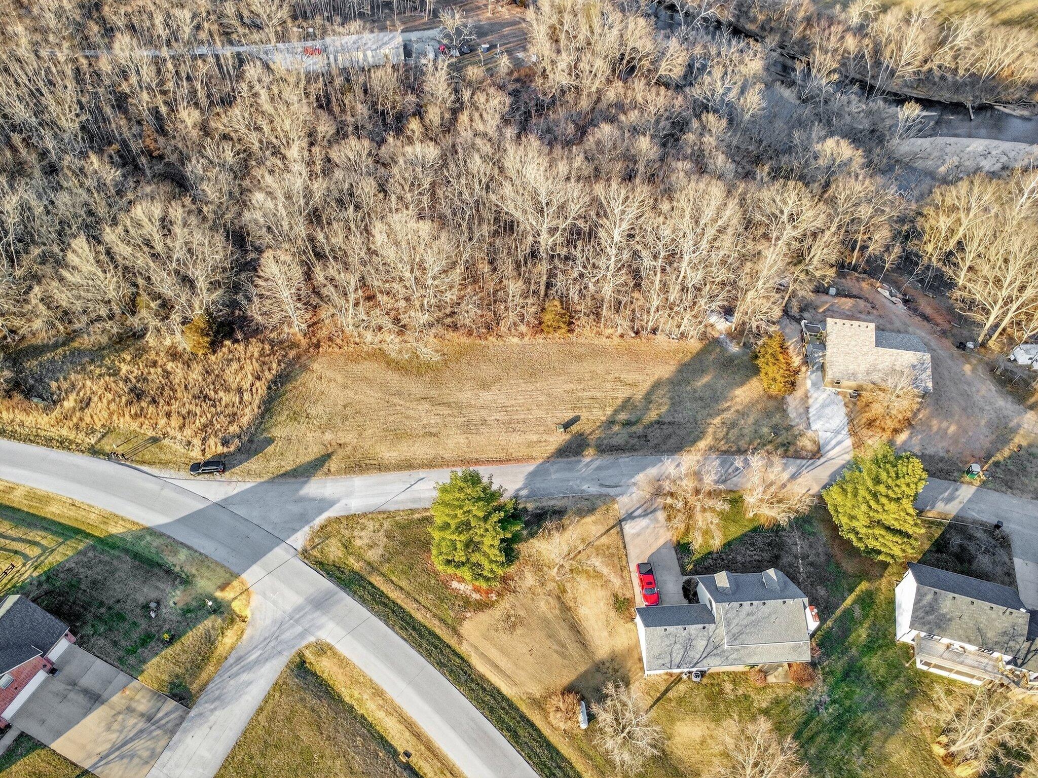 Photo 5 - Land for sale – 000  Dollar Street  Clever, MO