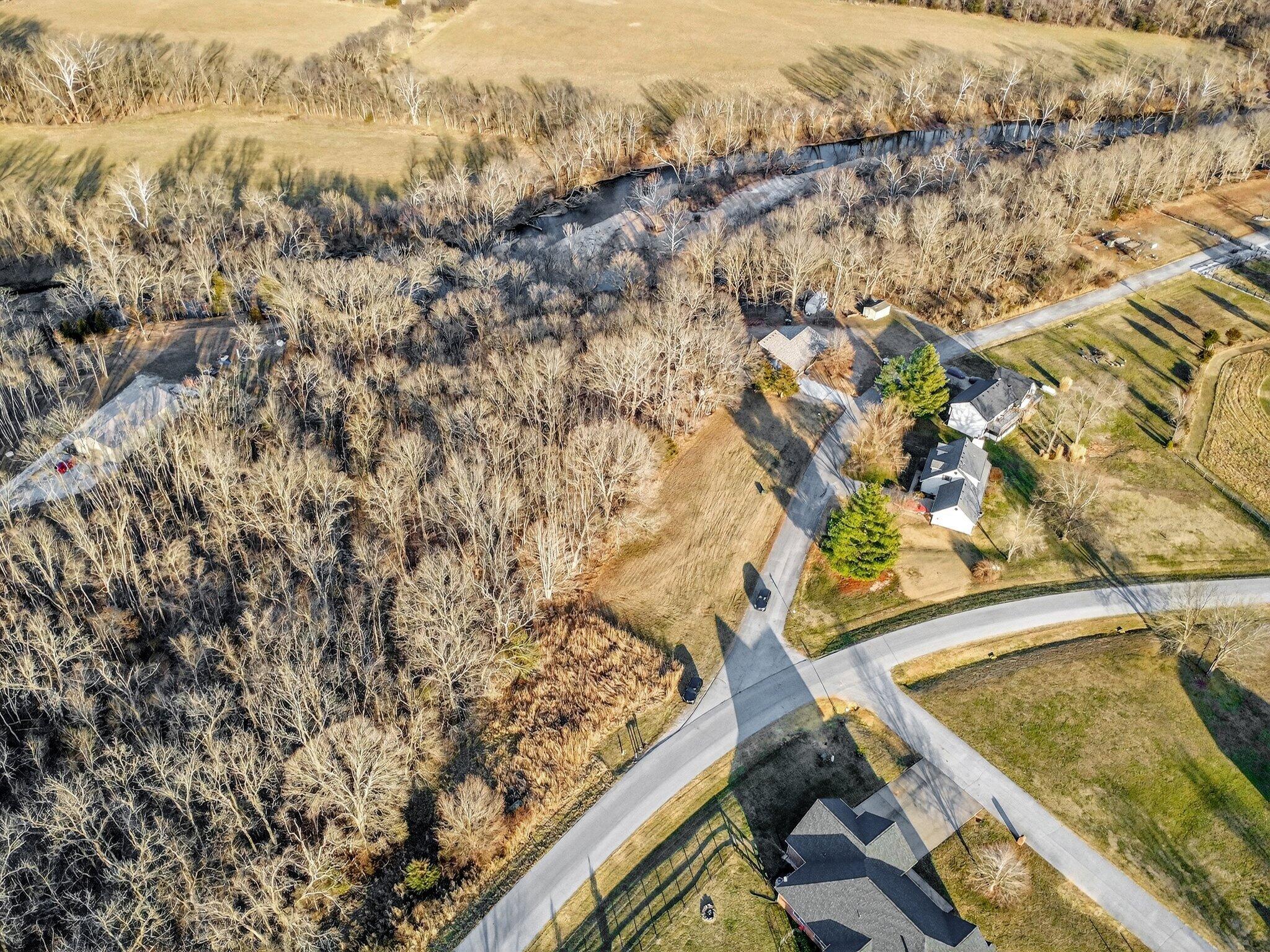 Photo 3 - Land for sale – 000  Dollar Street  Clever, MO