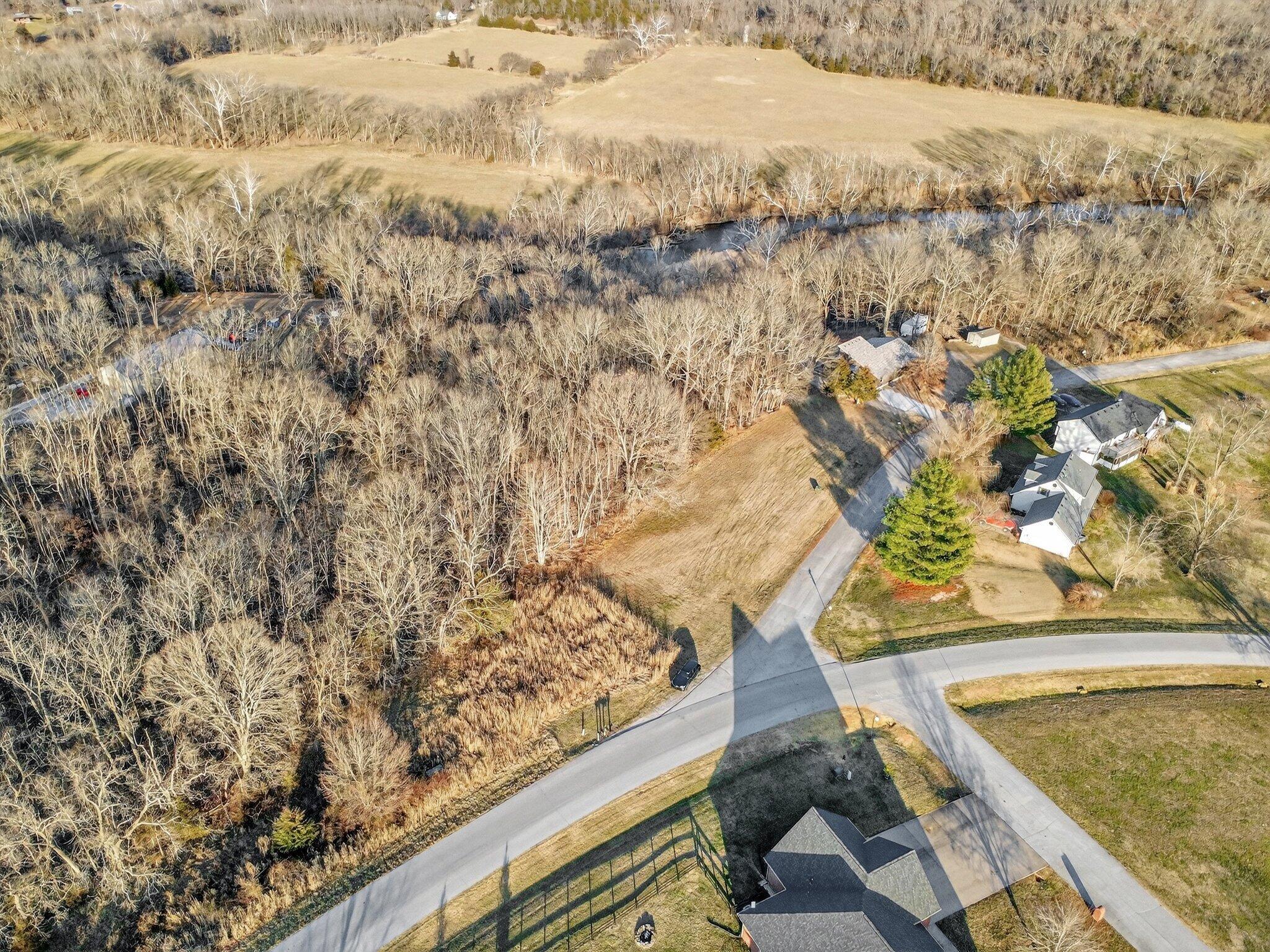 Photo 2 - Land for sale – 000  Dollar Street  Clever, MO