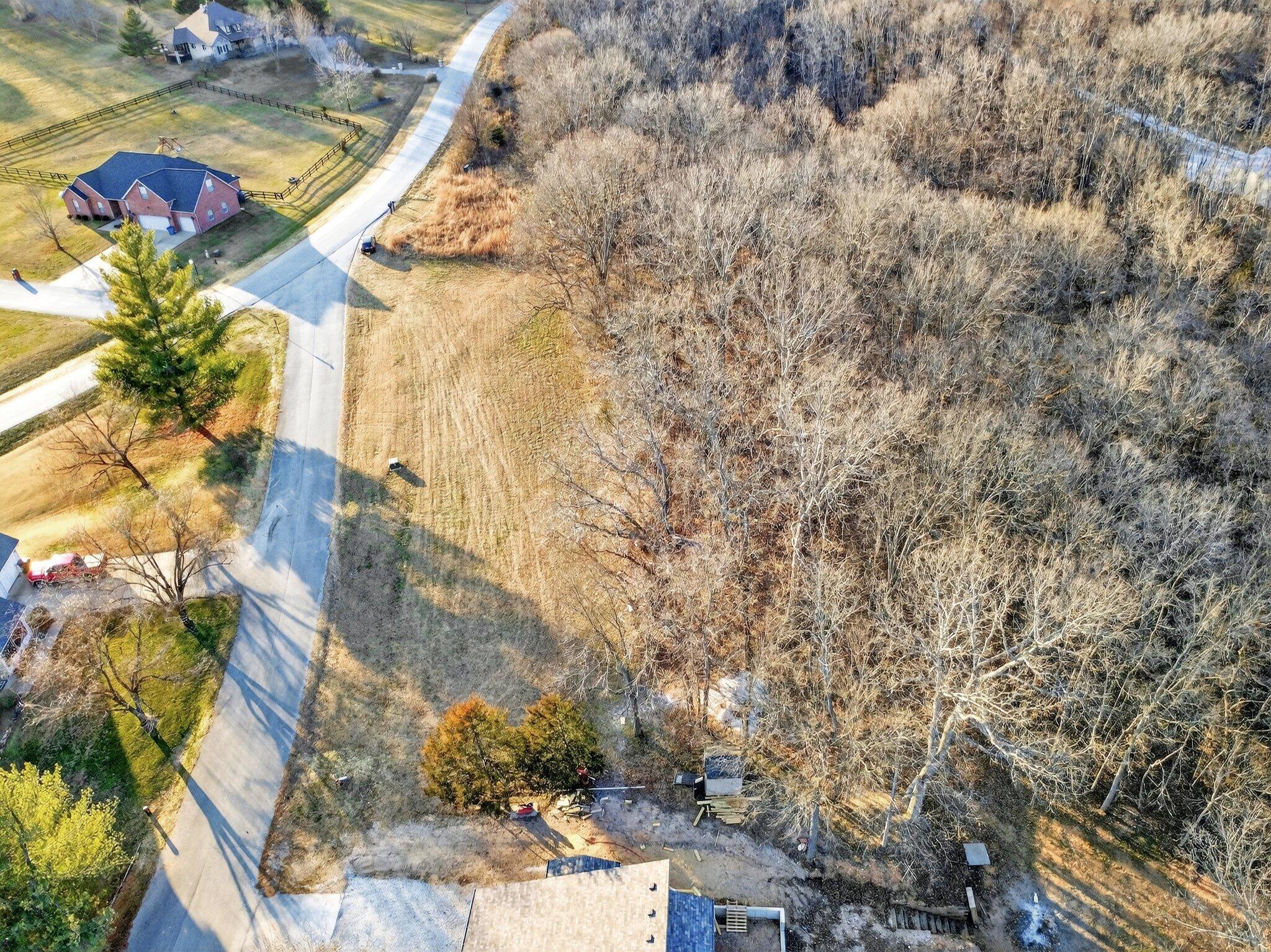Photo 8 - Land for sale – 000  Dollar Street  Clever, MO