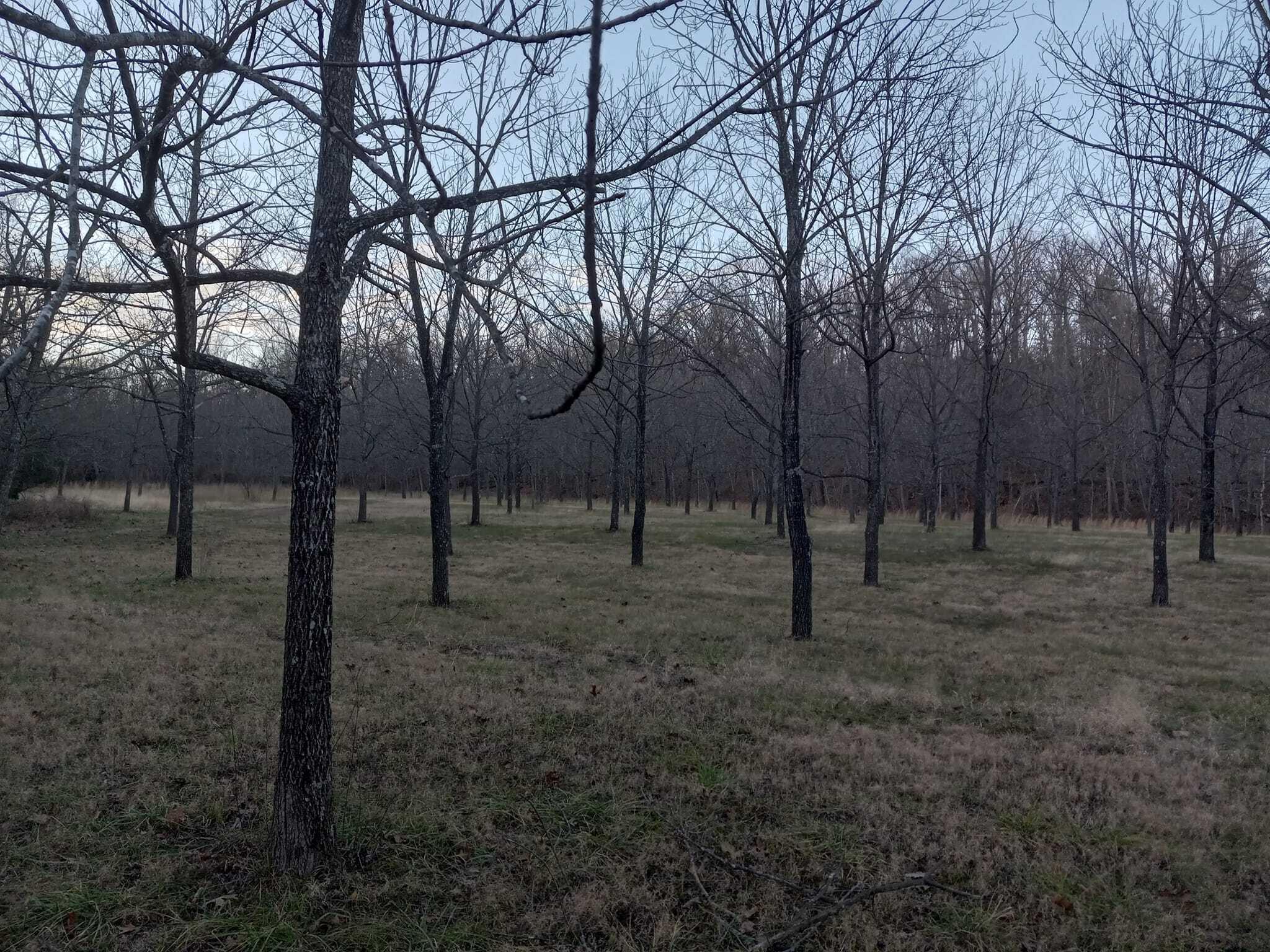 Photo 34 - Residential for sale – 1100  Hattie Drive  Willow Springs, MO