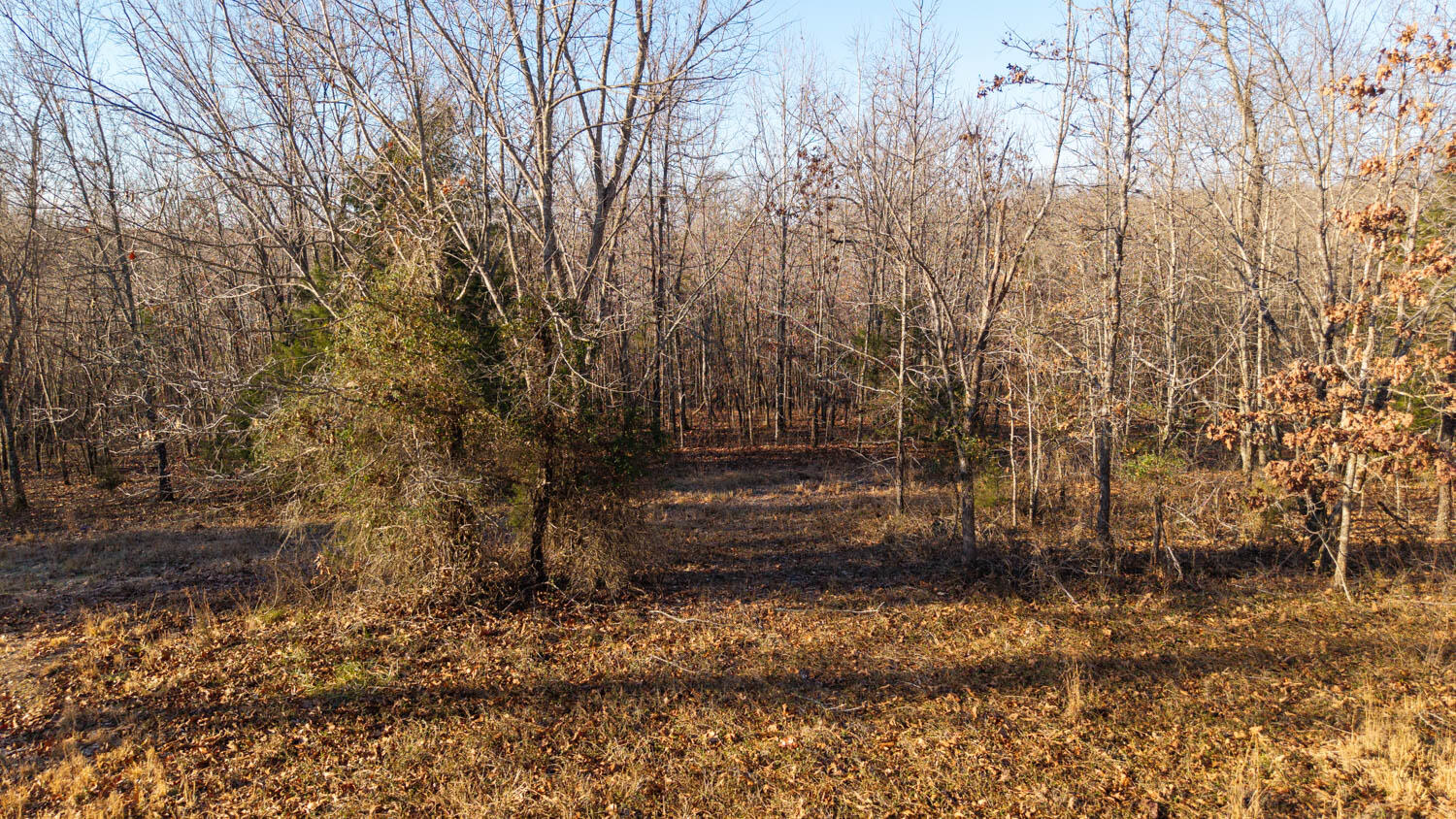 Photo 77 - Residential for sale – 749  State Highway Hh   Alton, MO