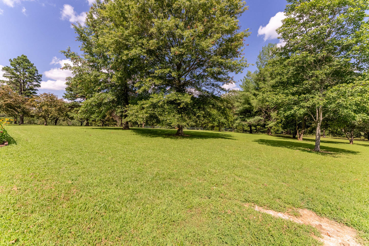 Photo 5 - Residential for sale – 749  State Highway Hh   Alton, MO