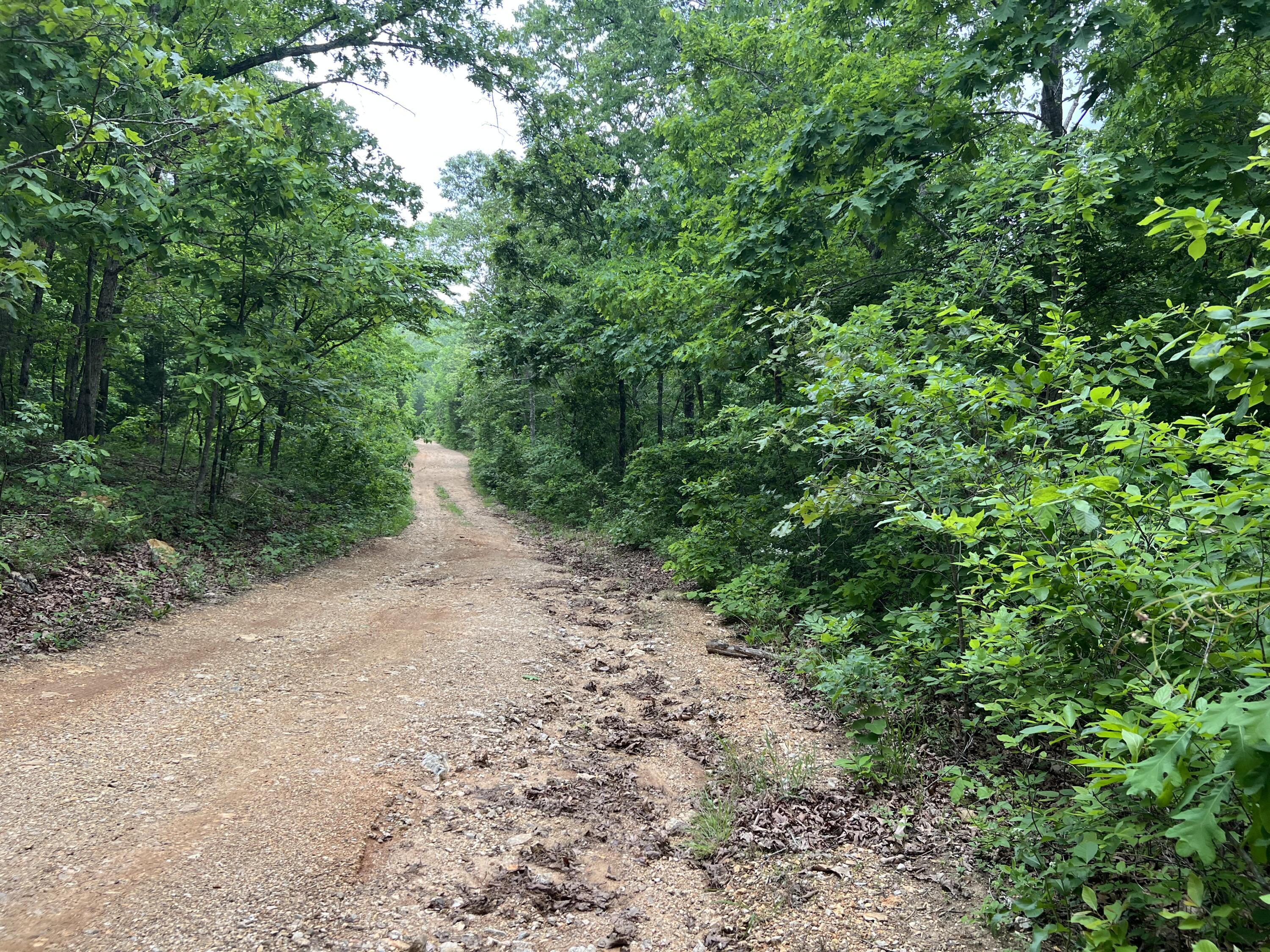 Land for sale – 000  Lot 7 Tall Oaks Trail   Mammoth Spring, AR