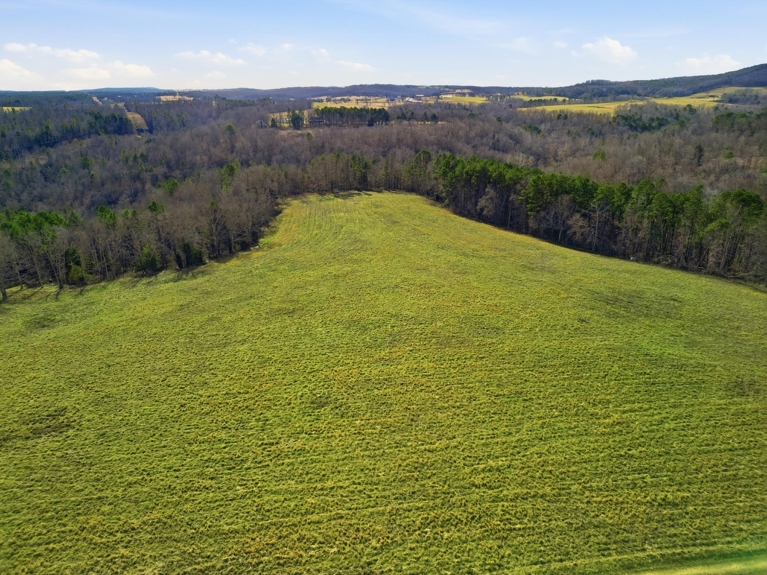 Photo 8 - Farm for sale – 37286  County Road Ee-270   Vanzant, MO