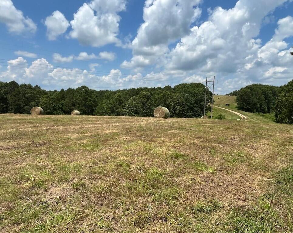 Photo 48 - Farm for sale – 37286  County Road Ee-270   Vanzant, MO