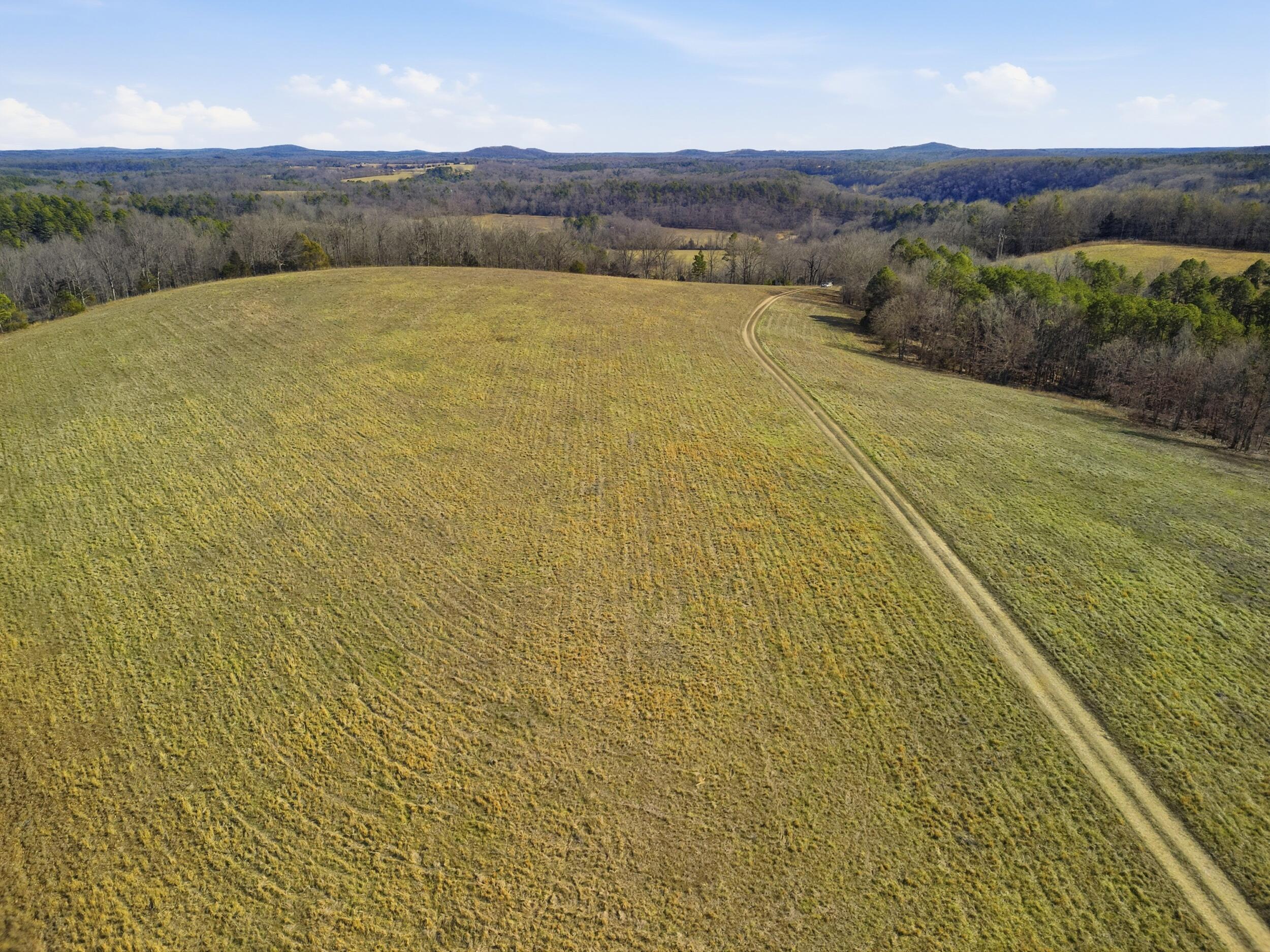Photo 9 - Farm for sale – 37286  County Road Ee-270   Vanzant, MO