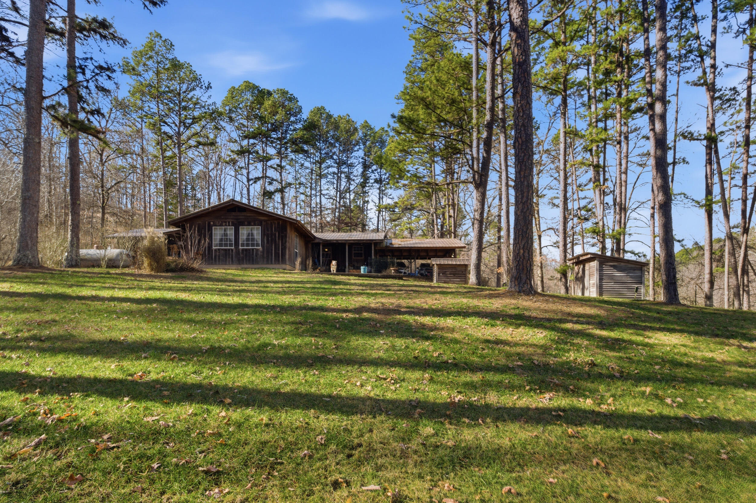 Photo 34 - Farm for sale – 37286  County Road Ee-270   Vanzant, MO