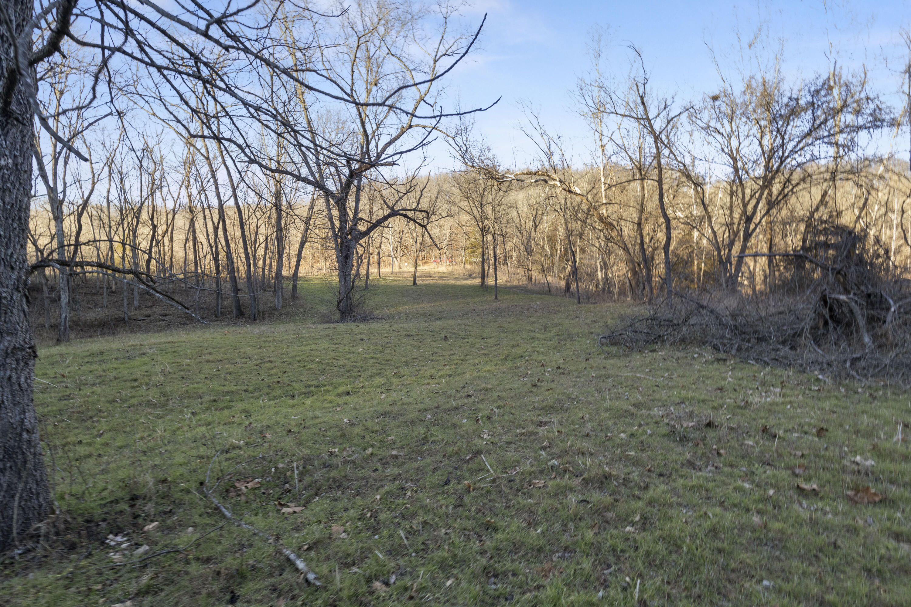 Photo 20 - Land for sale – Xoxo  Flag Springs Road   Washburn, MO