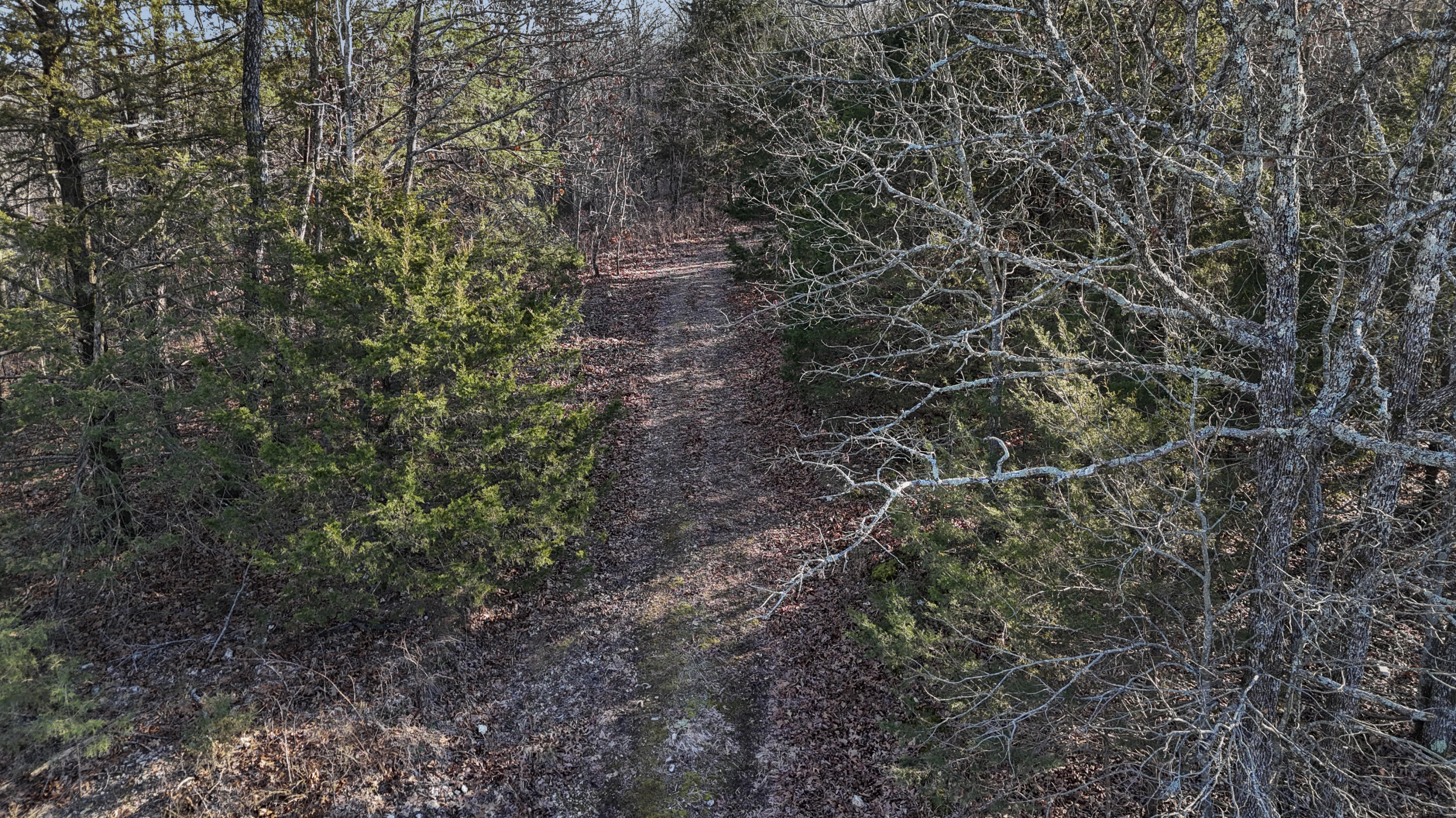 Photo 23 - Land for sale – Xoxo  Flag Springs Road   Washburn, MO