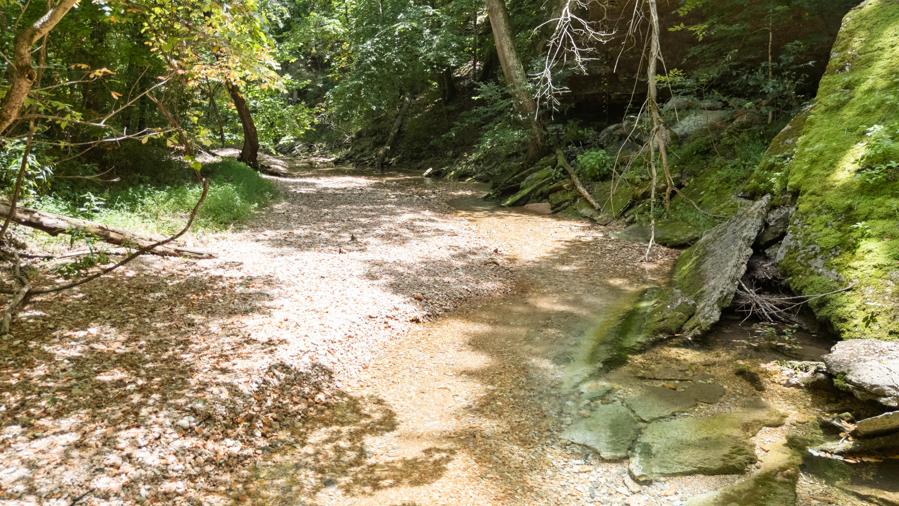 Photo 51 - Land for sale – Xoxo  Flag Springs Road   Washburn, MO