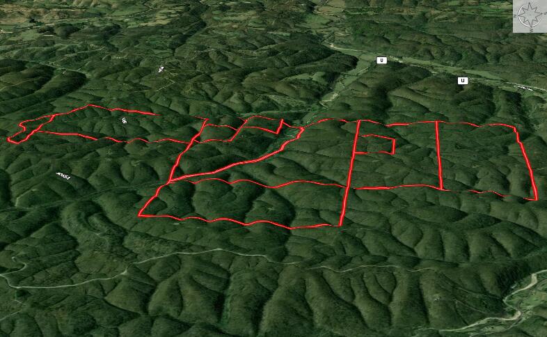 Photo 5 - Land for sale – Xoxo  Flag Springs Road   Washburn, MO