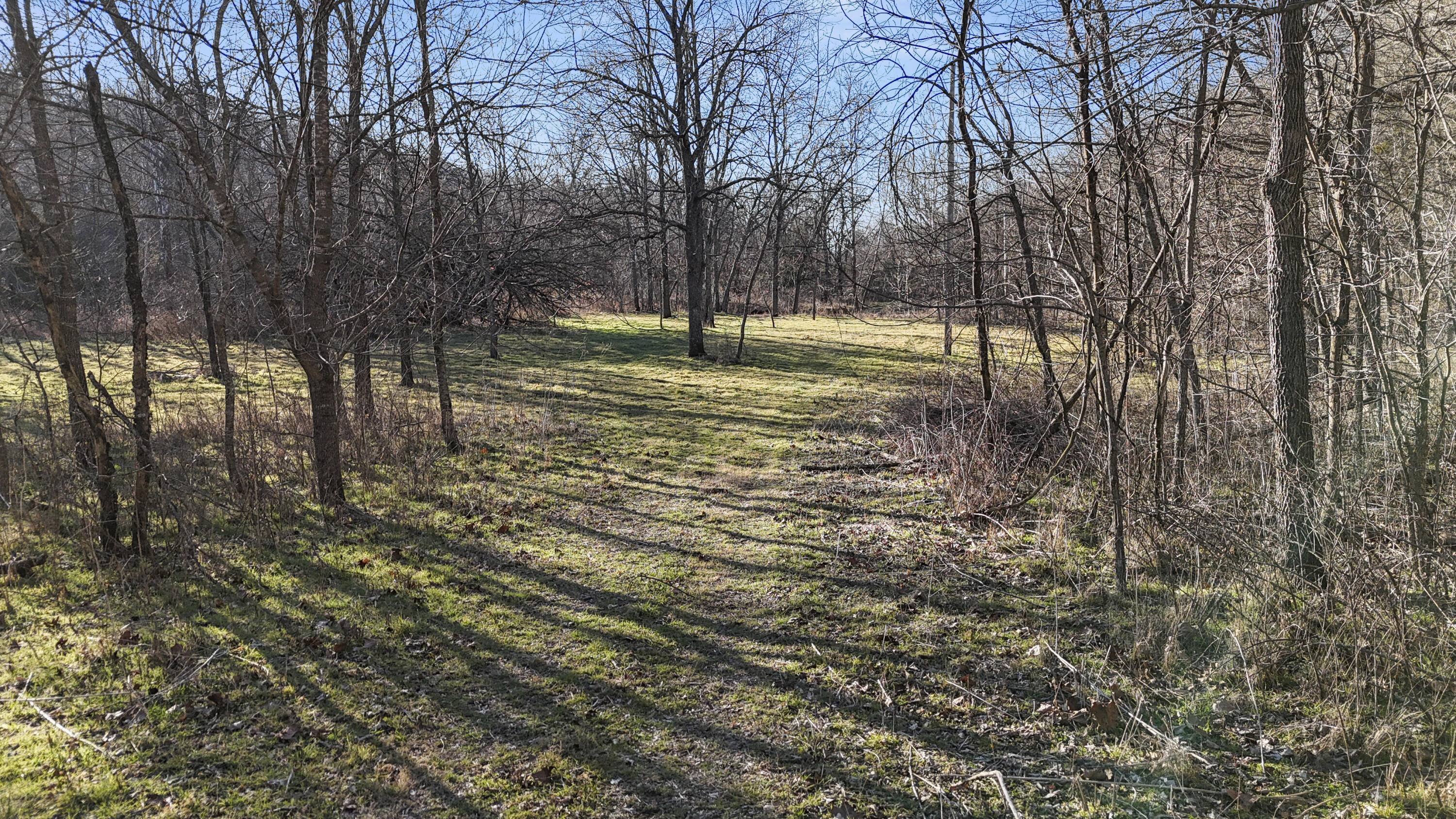 Photo 25 - Land for sale – Xoxo  Flag Springs Road   Washburn, MO
