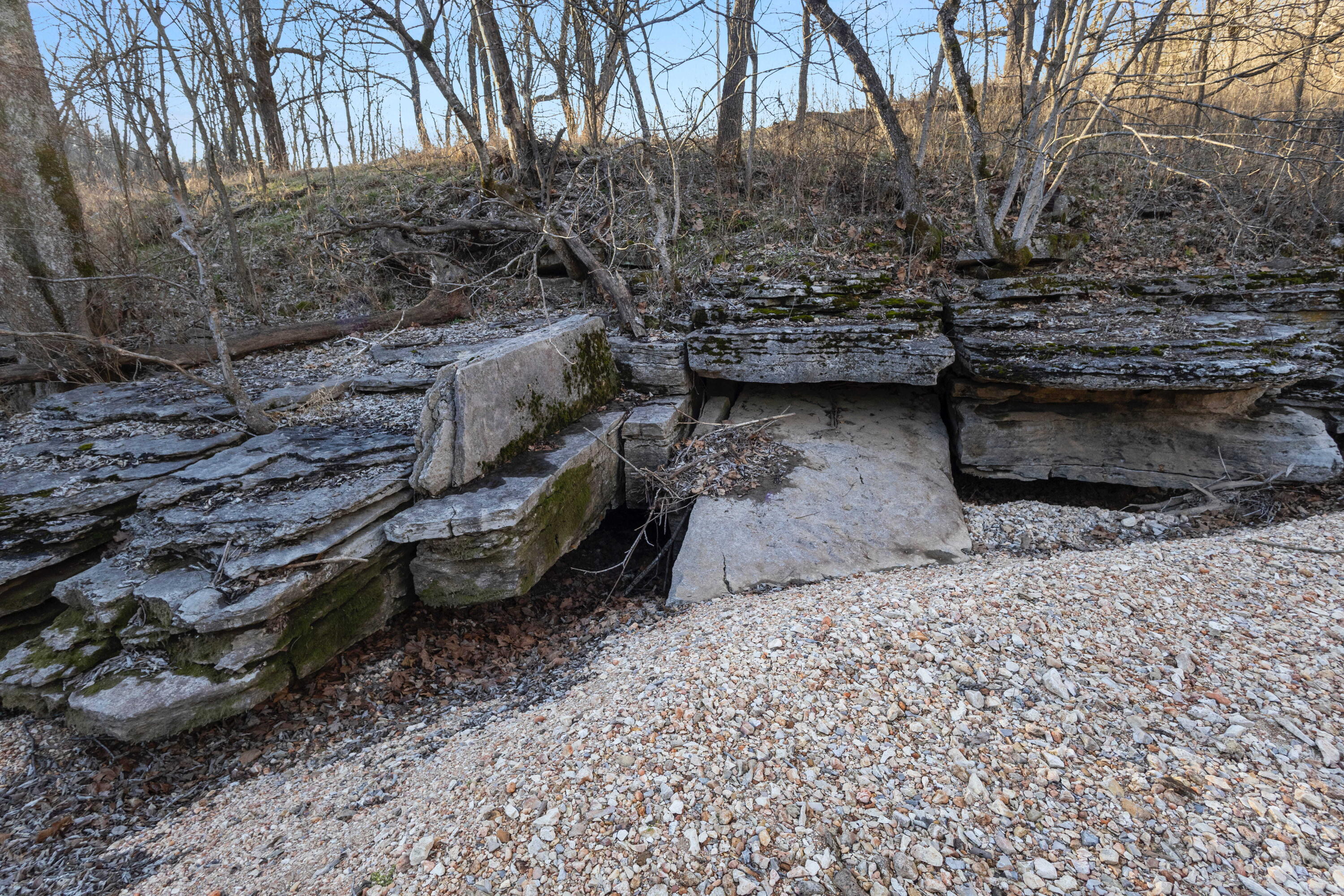 Photo 28 - Land for sale – Xoxo  Flag Springs Road   Washburn, MO