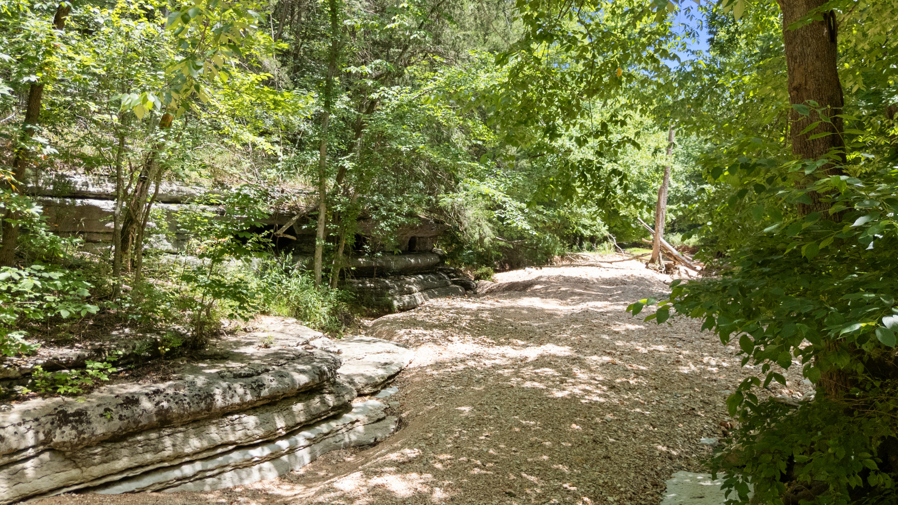 Photo 48 - Land for sale – Xoxo  Flag Springs Road   Washburn, MO