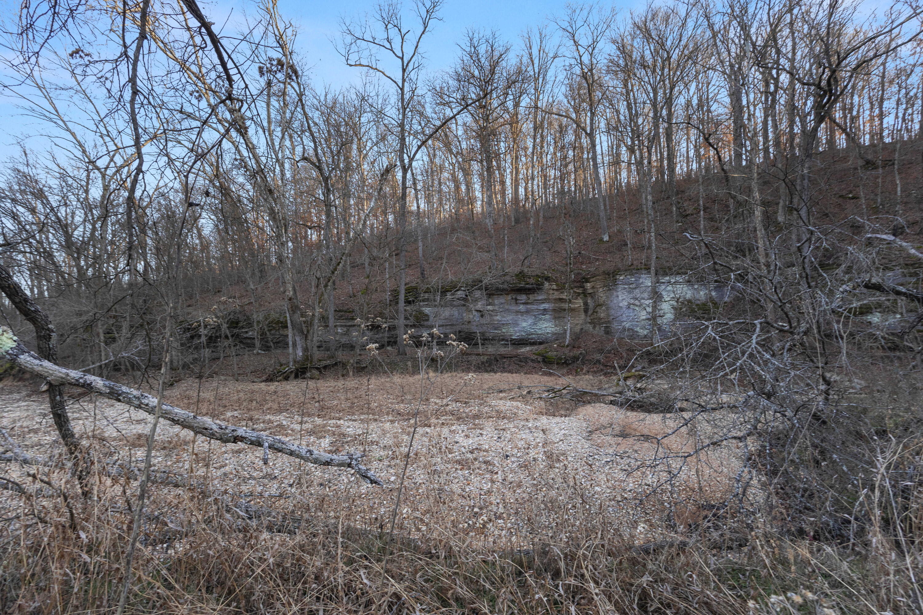 Photo 36 - Land for sale – Xoxo  Flag Springs Road   Washburn, MO