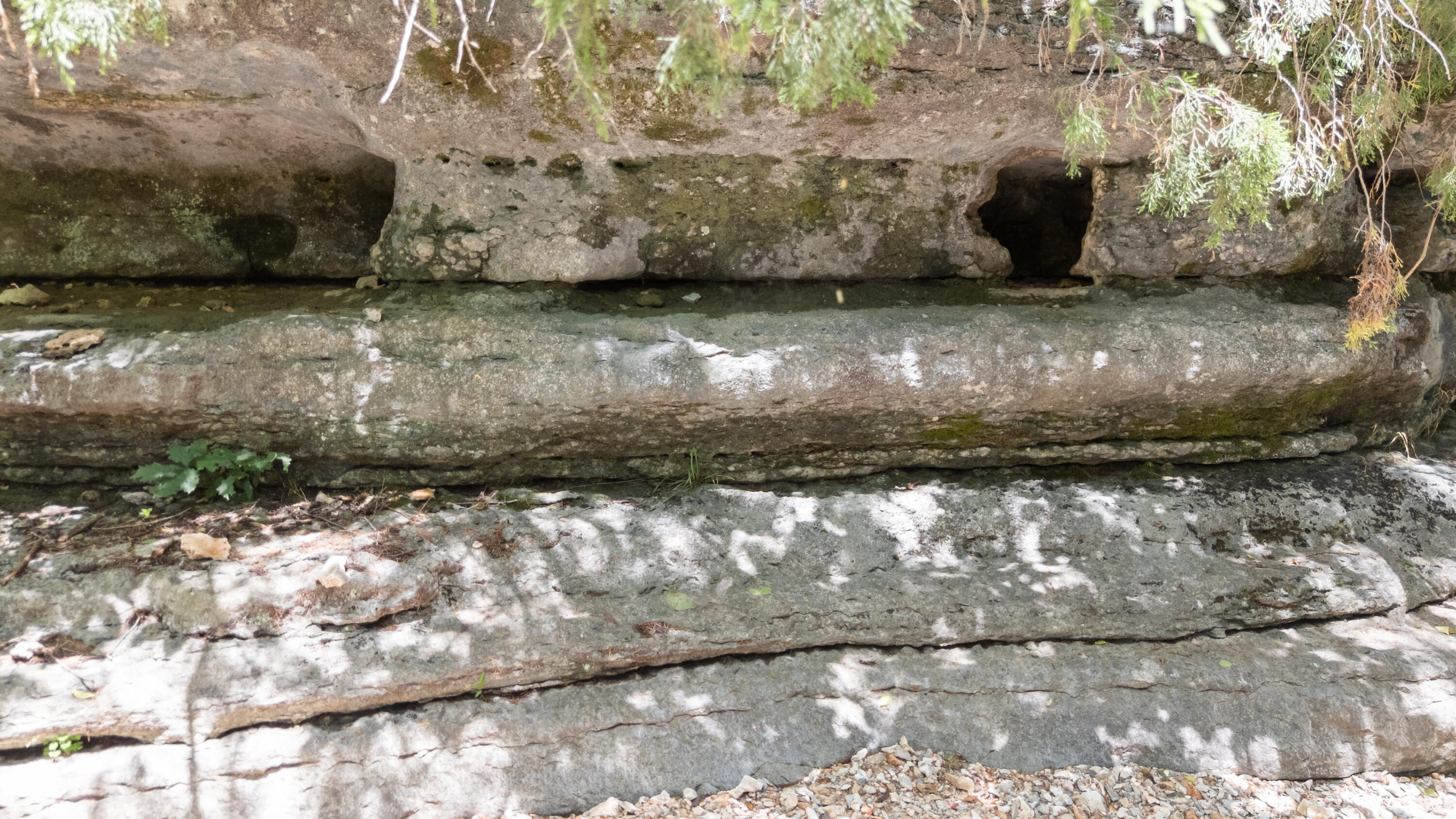 Photo 42 - Land for sale – Xoxo  Flag Springs Road   Washburn, MO
