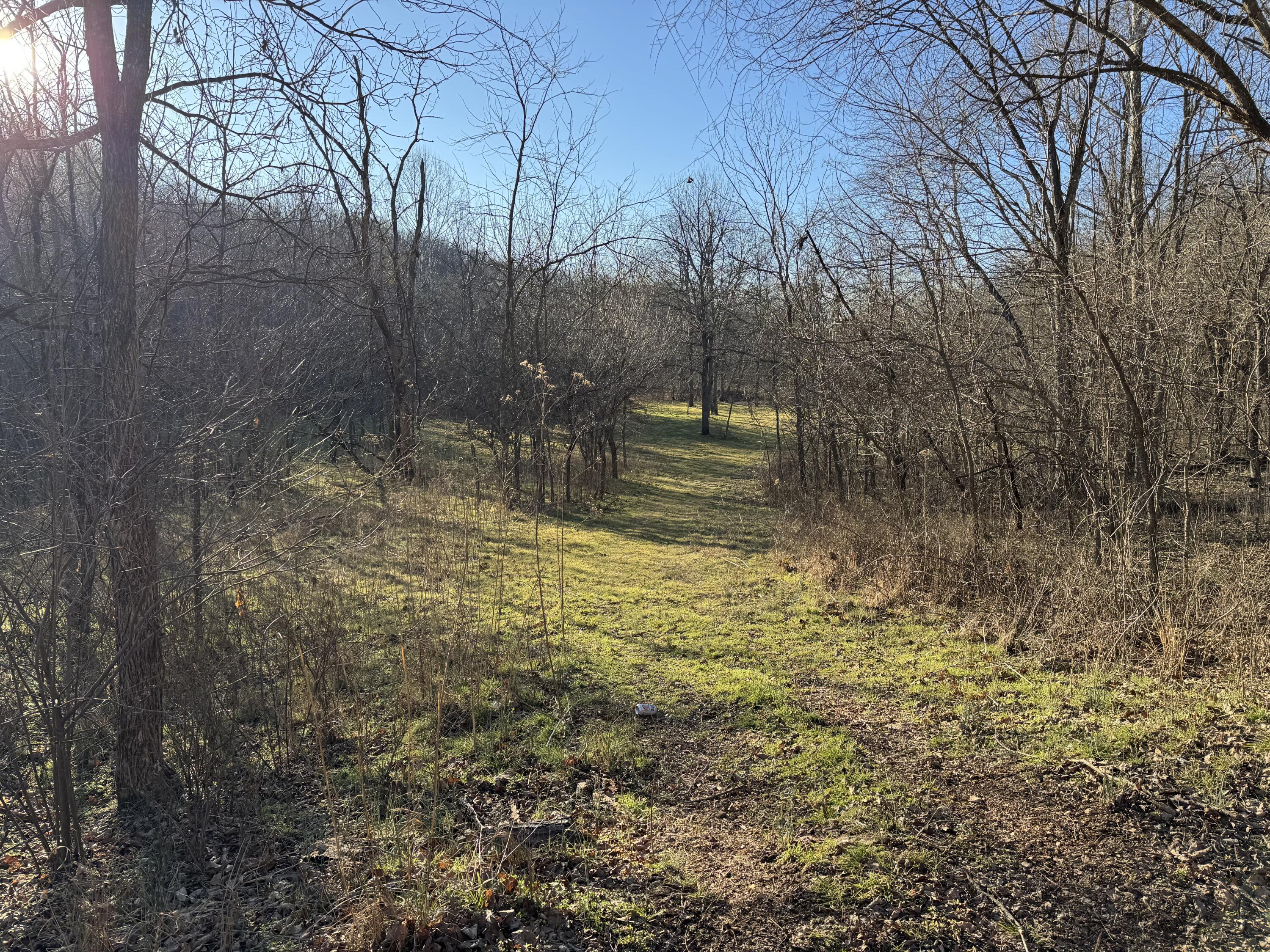Photo 13 - Land for sale – Xoxo  Flag Springs Road   Washburn, MO