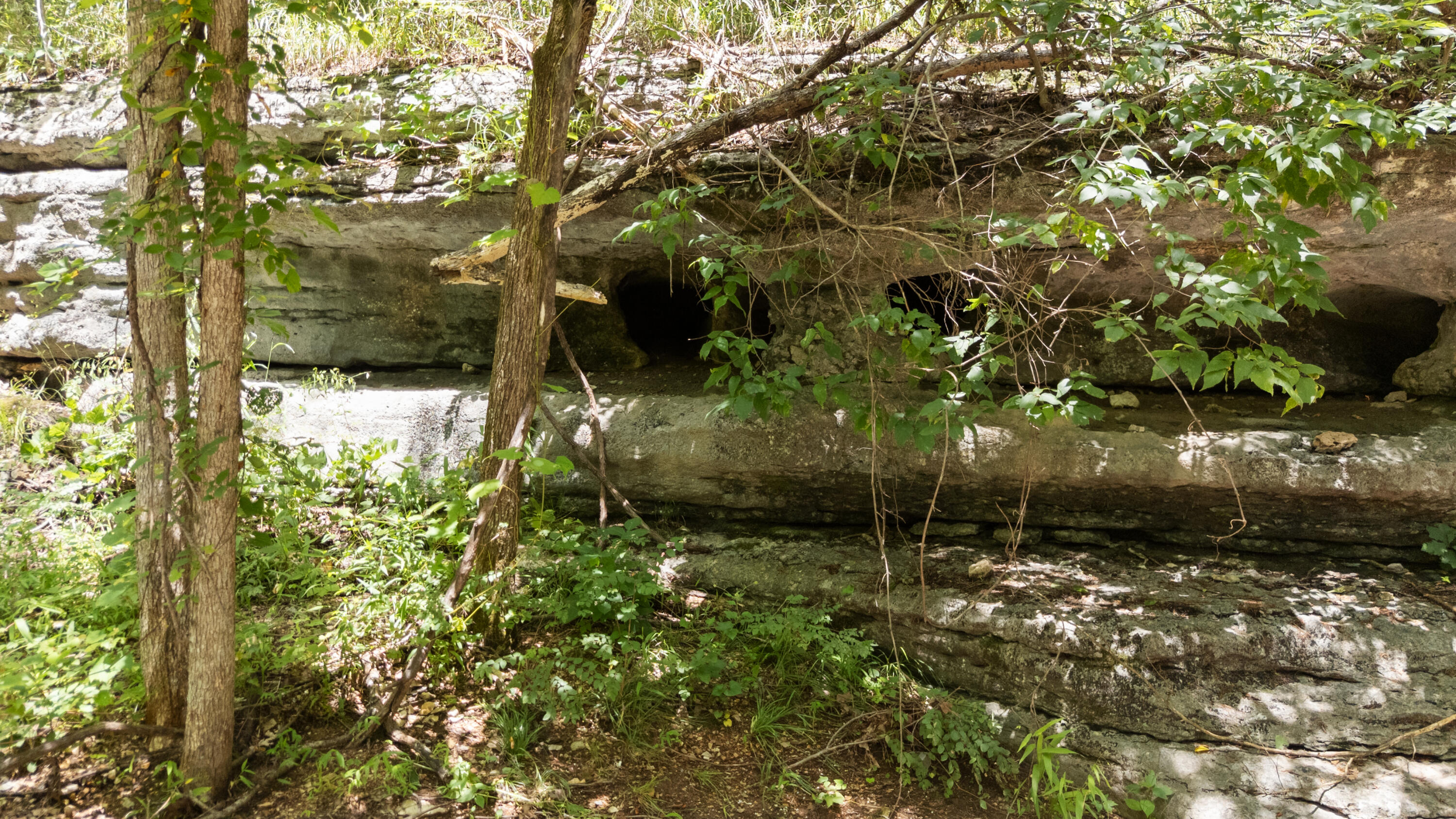 Photo 43 - Land for sale – Xoxo  Flag Springs Road   Washburn, MO