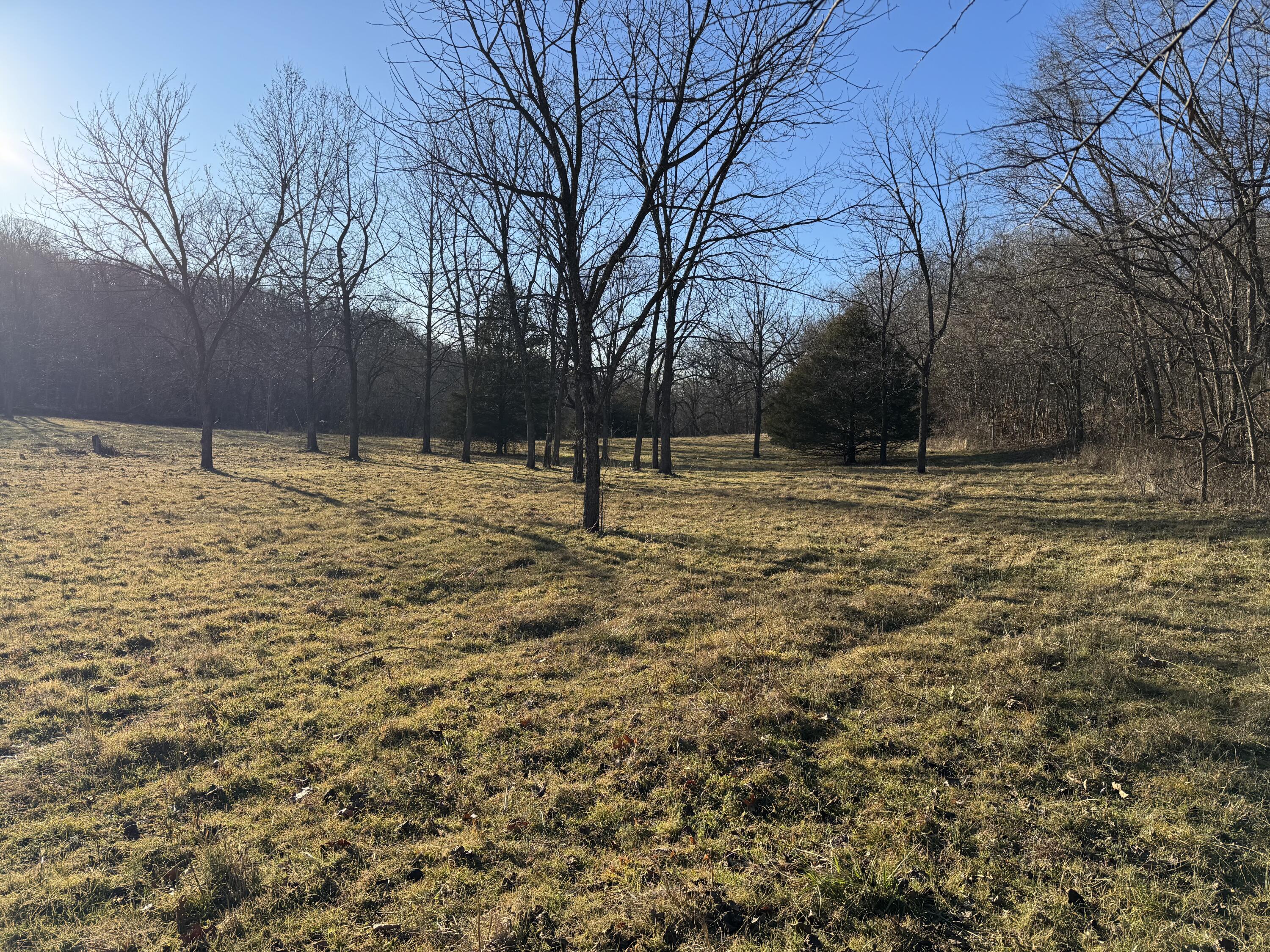 Photo 11 - Land for sale – Xoxo  Flag Springs Road   Washburn, MO