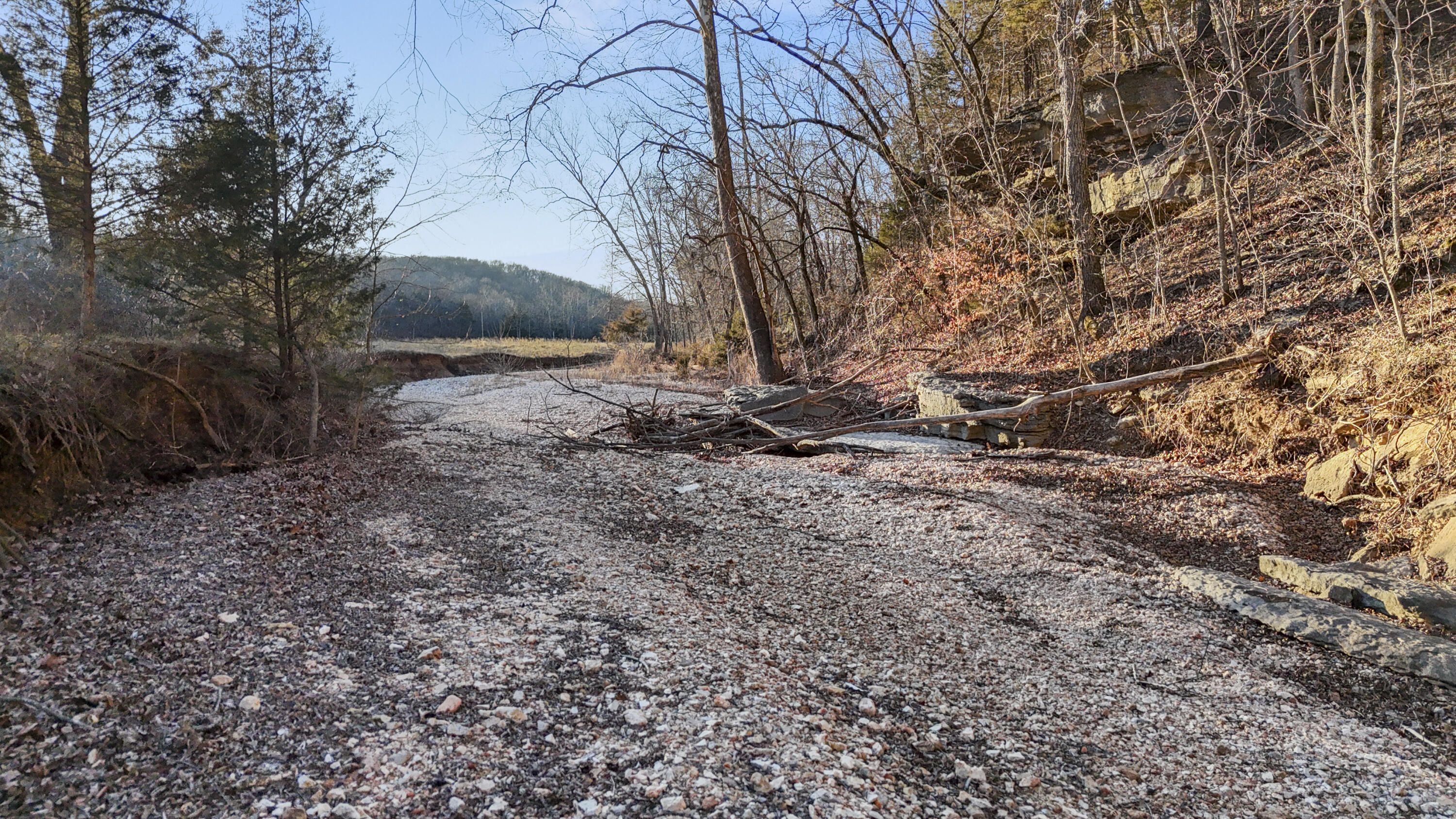 Photo 16 - Land for sale – Xoxo  Flag Springs Road   Washburn, MO