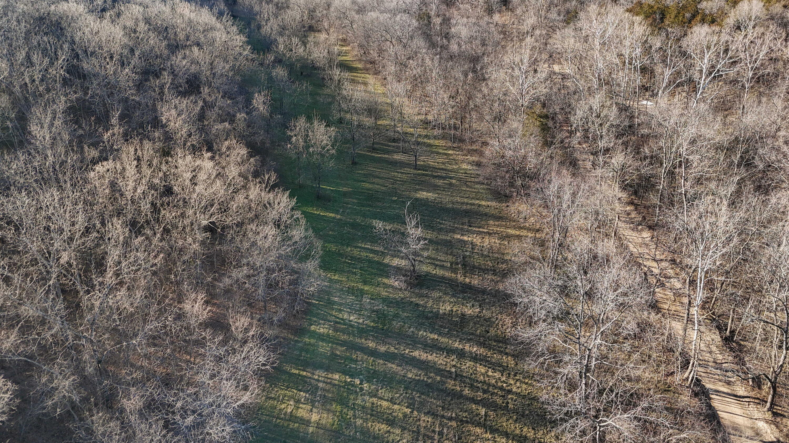 Photo 34 - Land for sale – Xoxo  Flag Springs Road   Washburn, MO