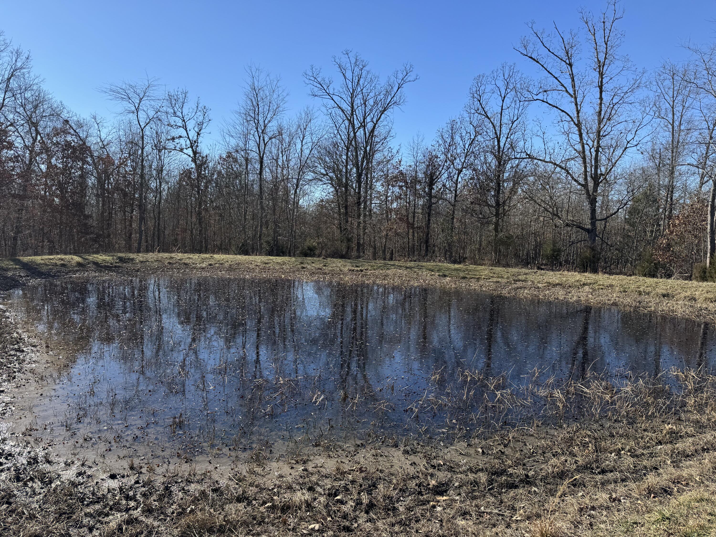 Photo 3 - Land for sale – Xoxo  Flag Springs Road   Washburn, MO