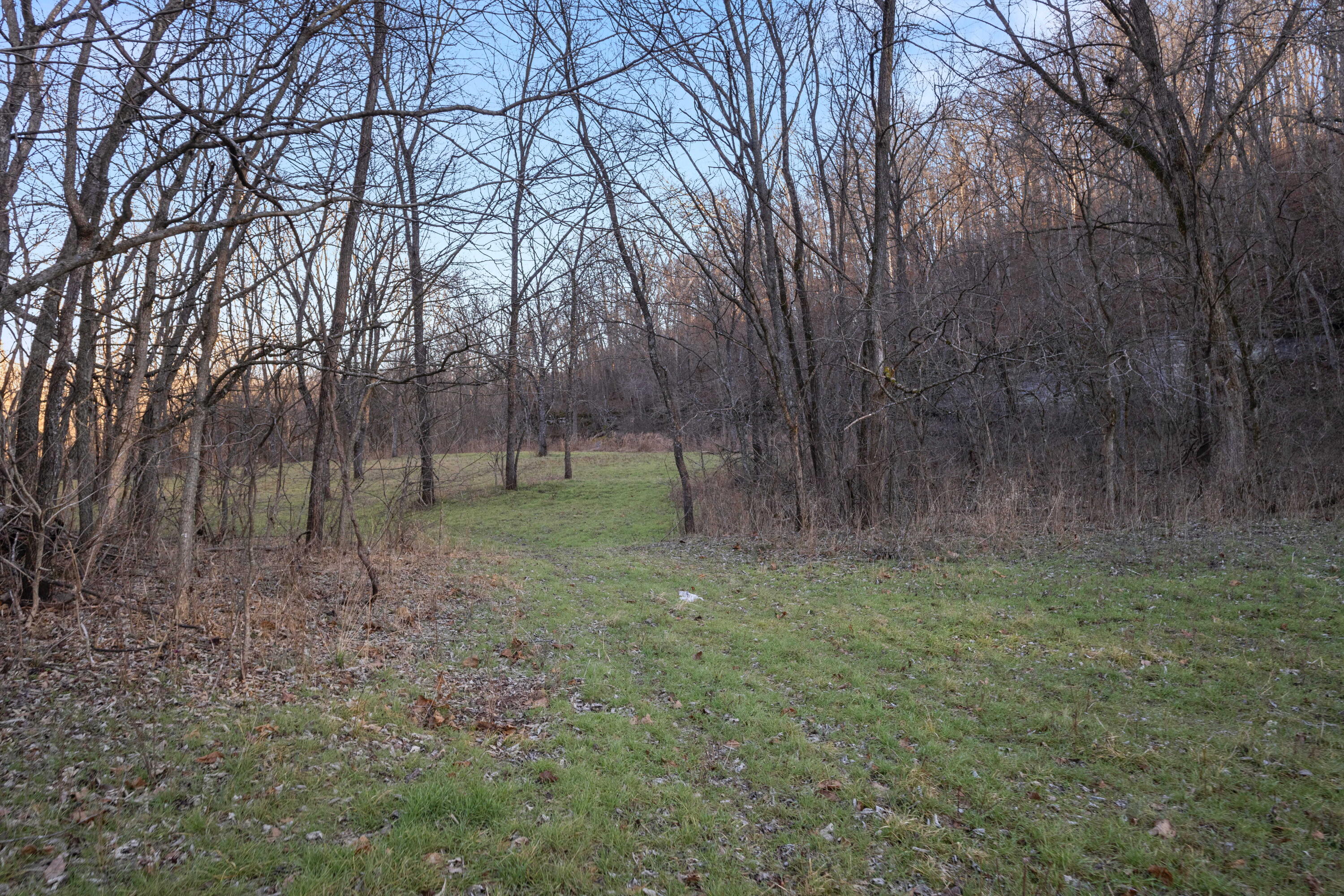 Photo 29 - Land for sale – Xoxo  Flag Springs Road   Washburn, MO