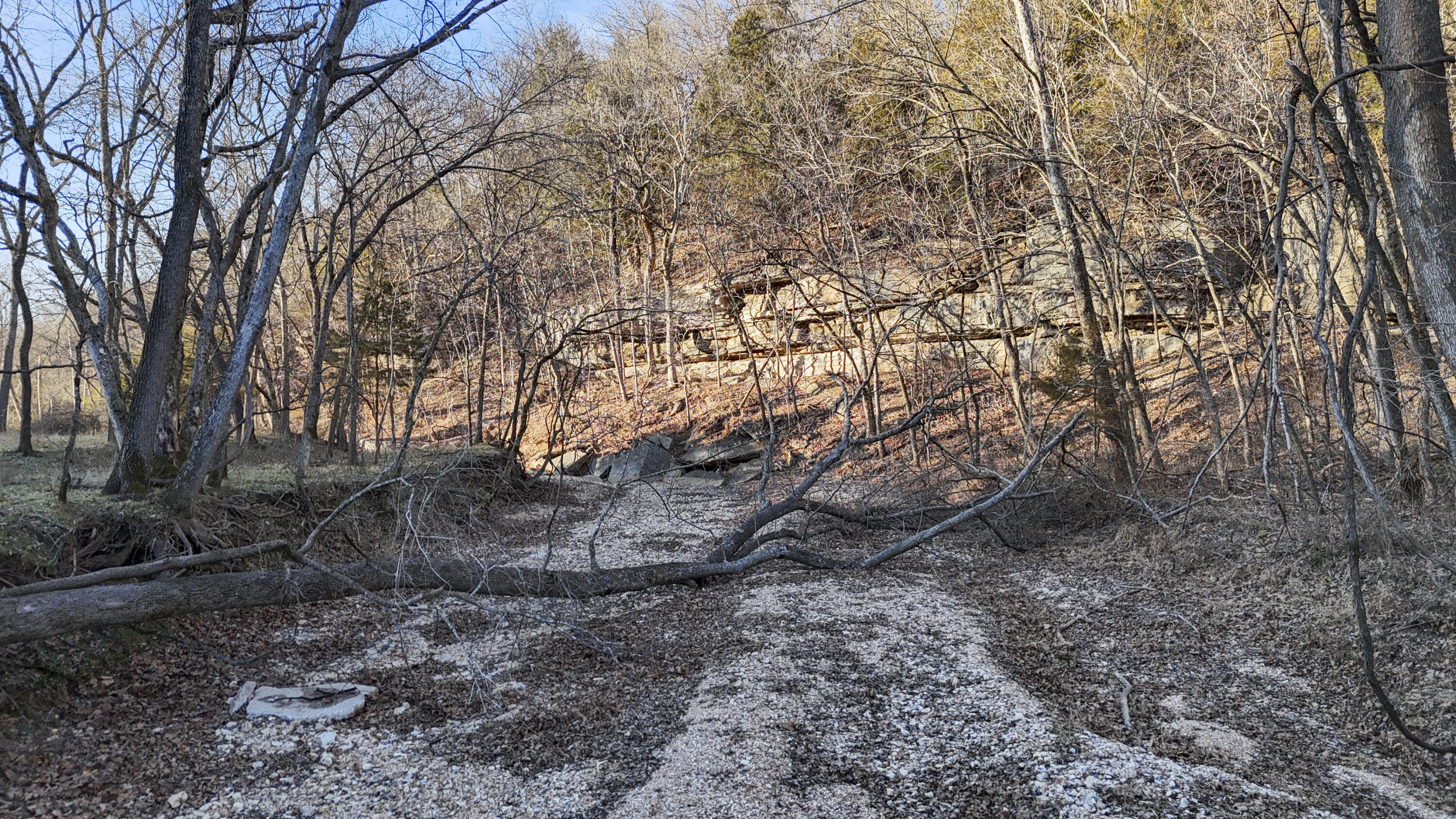 Photo 19 - Land for sale – Xoxo  Flag Springs Road   Washburn, MO