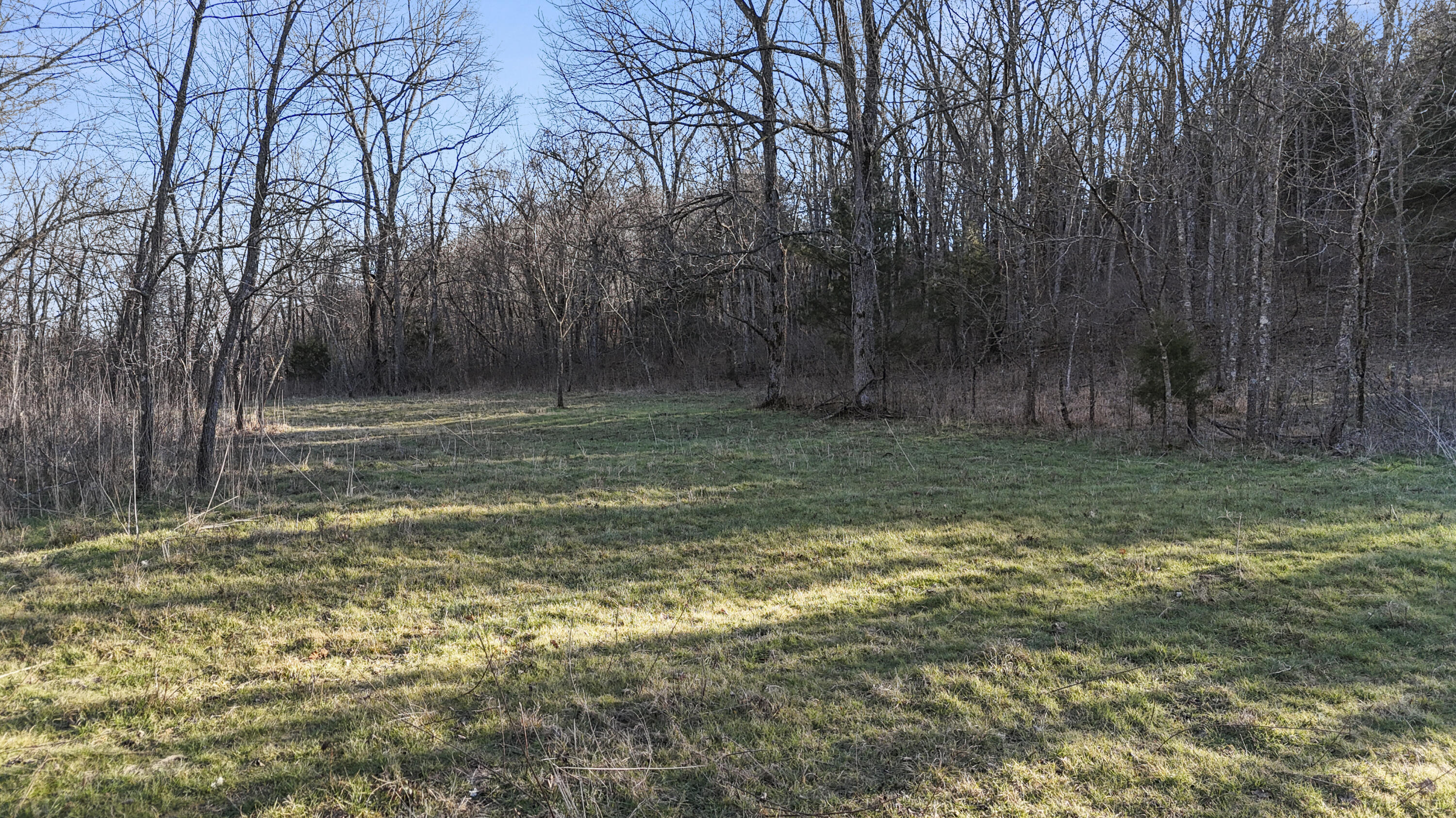 Photo 22 - Land for sale – Xoxo  Flag Springs Road   Washburn, MO