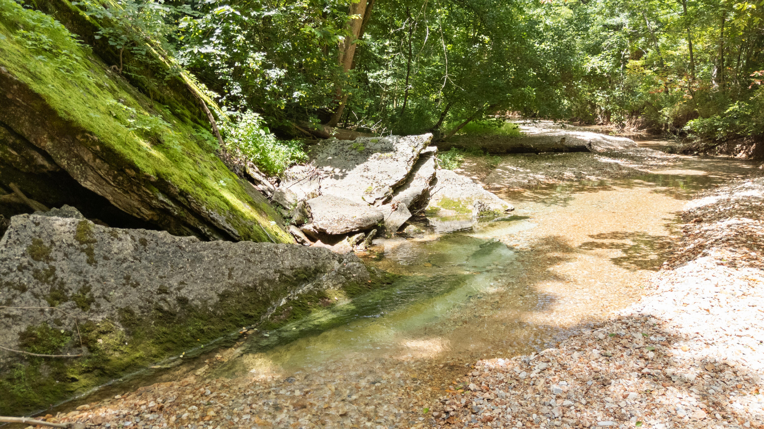 Photo 49 - Land for sale – Xoxo  Flag Springs Road   Washburn, MO