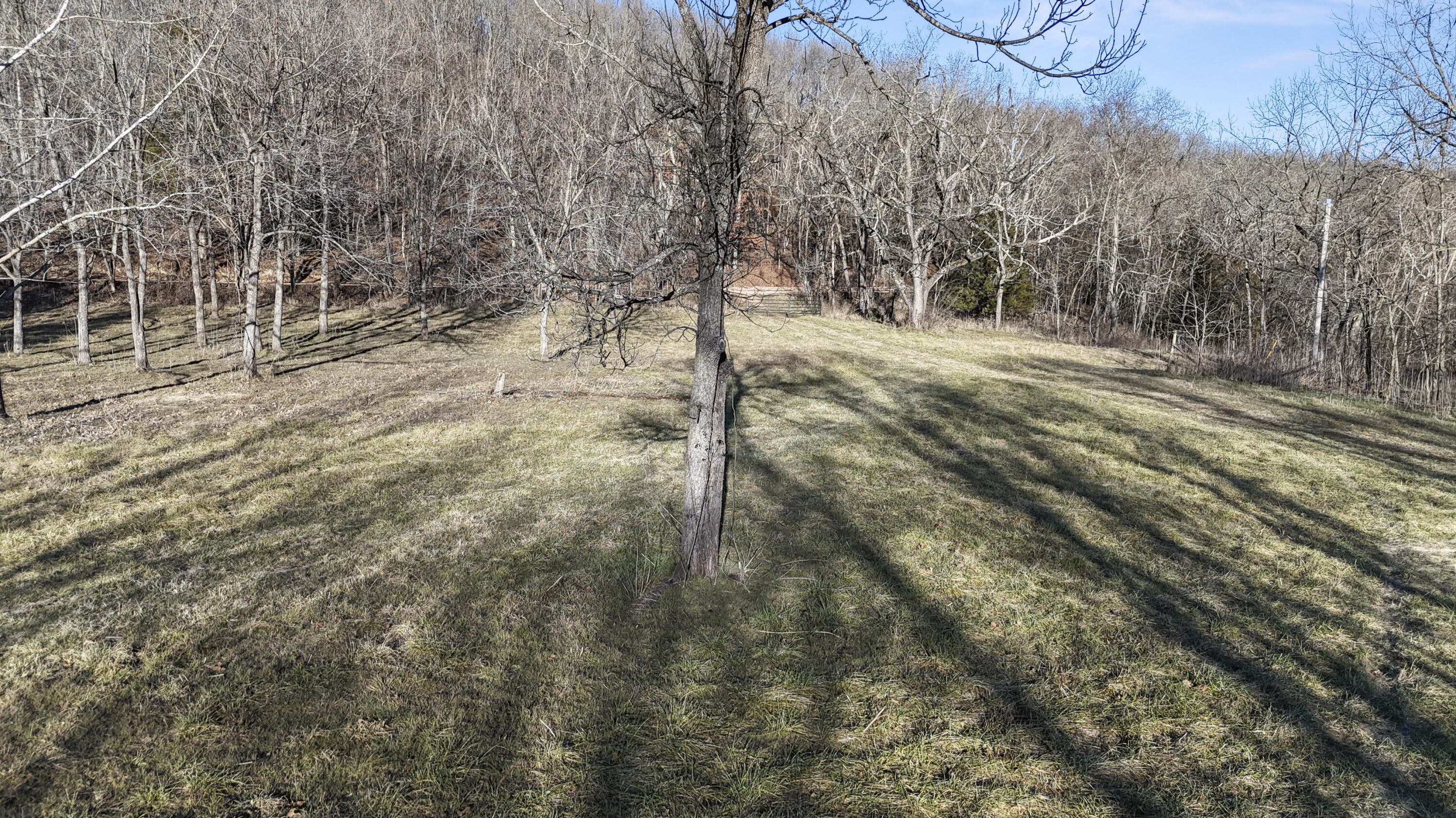 Photo 14 - Land for sale – Xoxo  Flag Springs Road   Washburn, MO