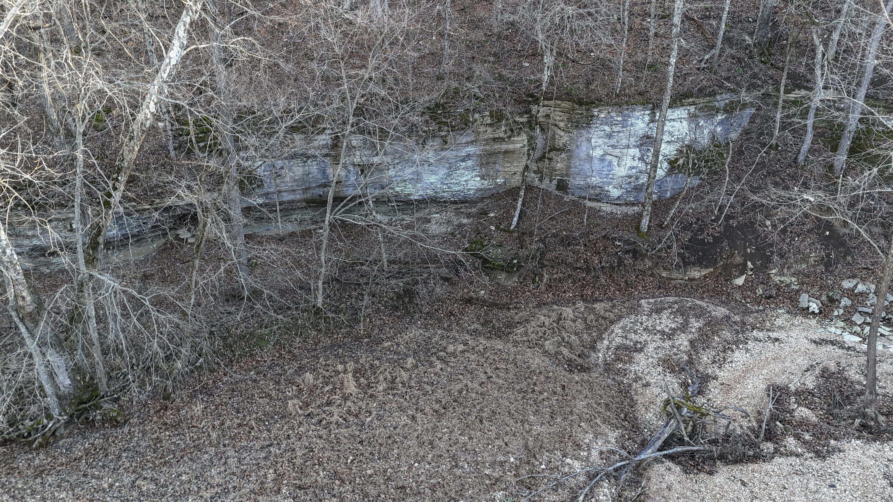 Photo 26 - Land for sale – Xoxo  Flag Springs Road   Washburn, MO
