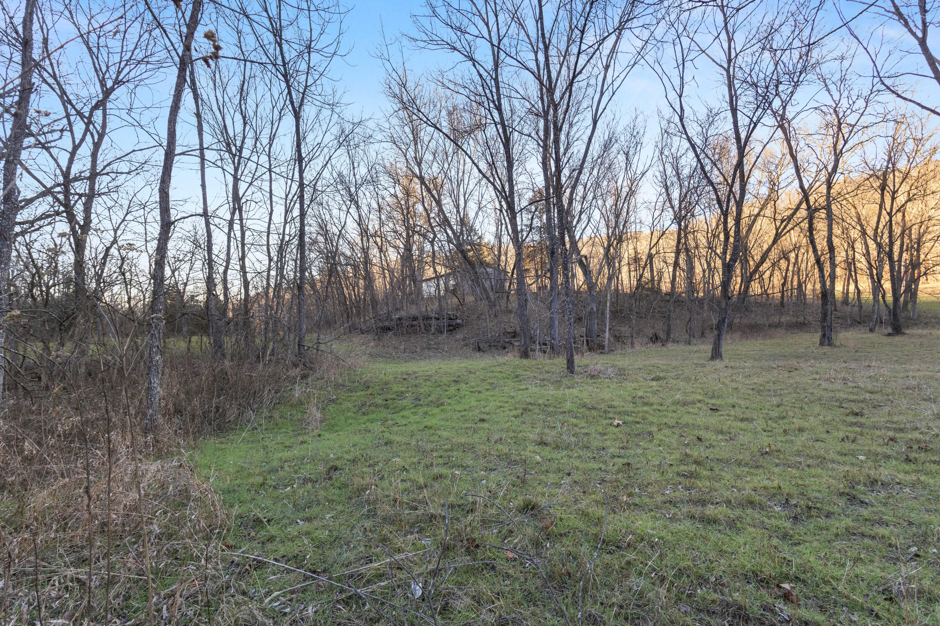 Photo 35 - Land for sale – Xoxo  Flag Springs Road   Washburn, MO