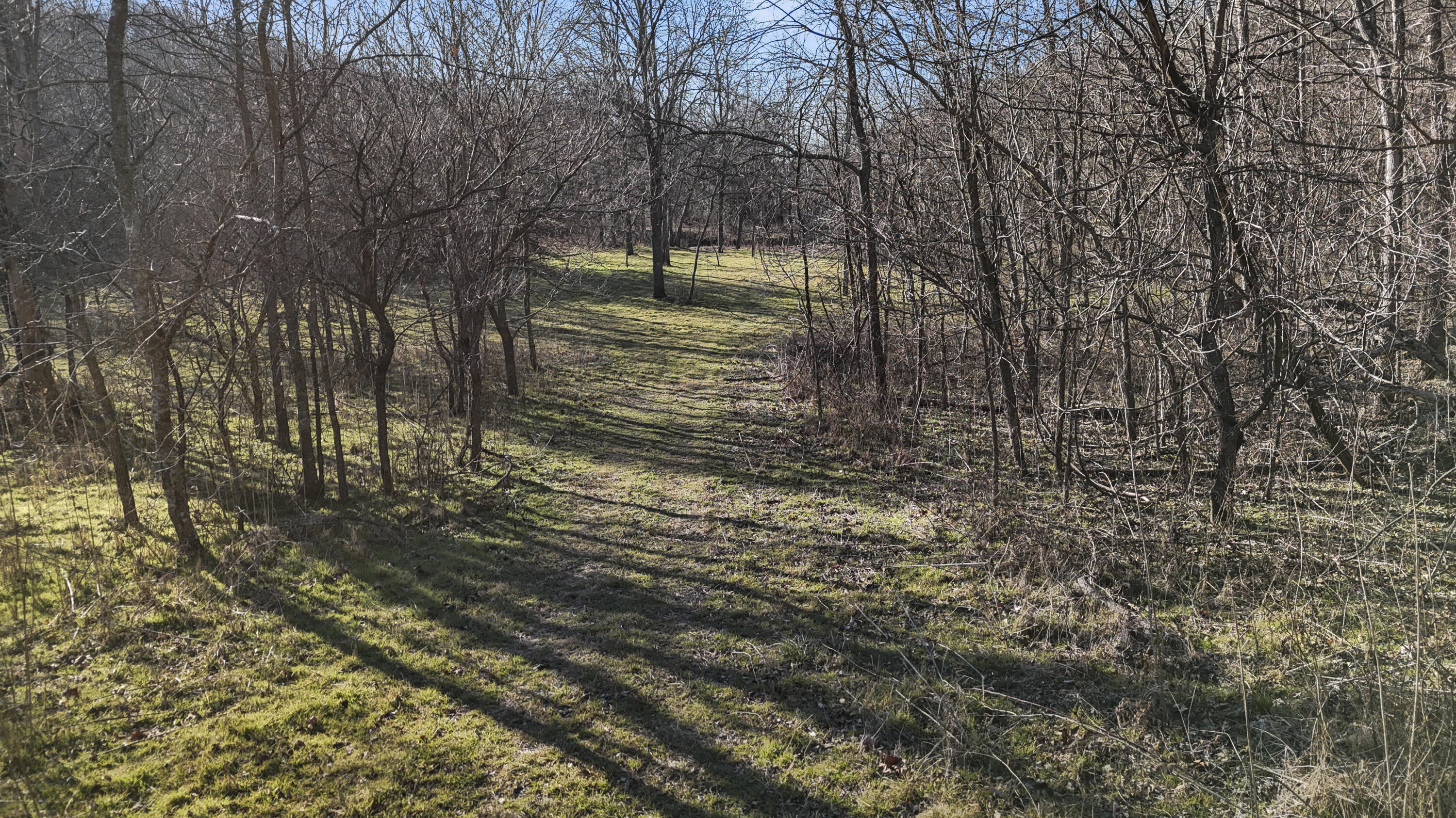 Land for sale – Xoxo  Flag Springs Road   Washburn, MO