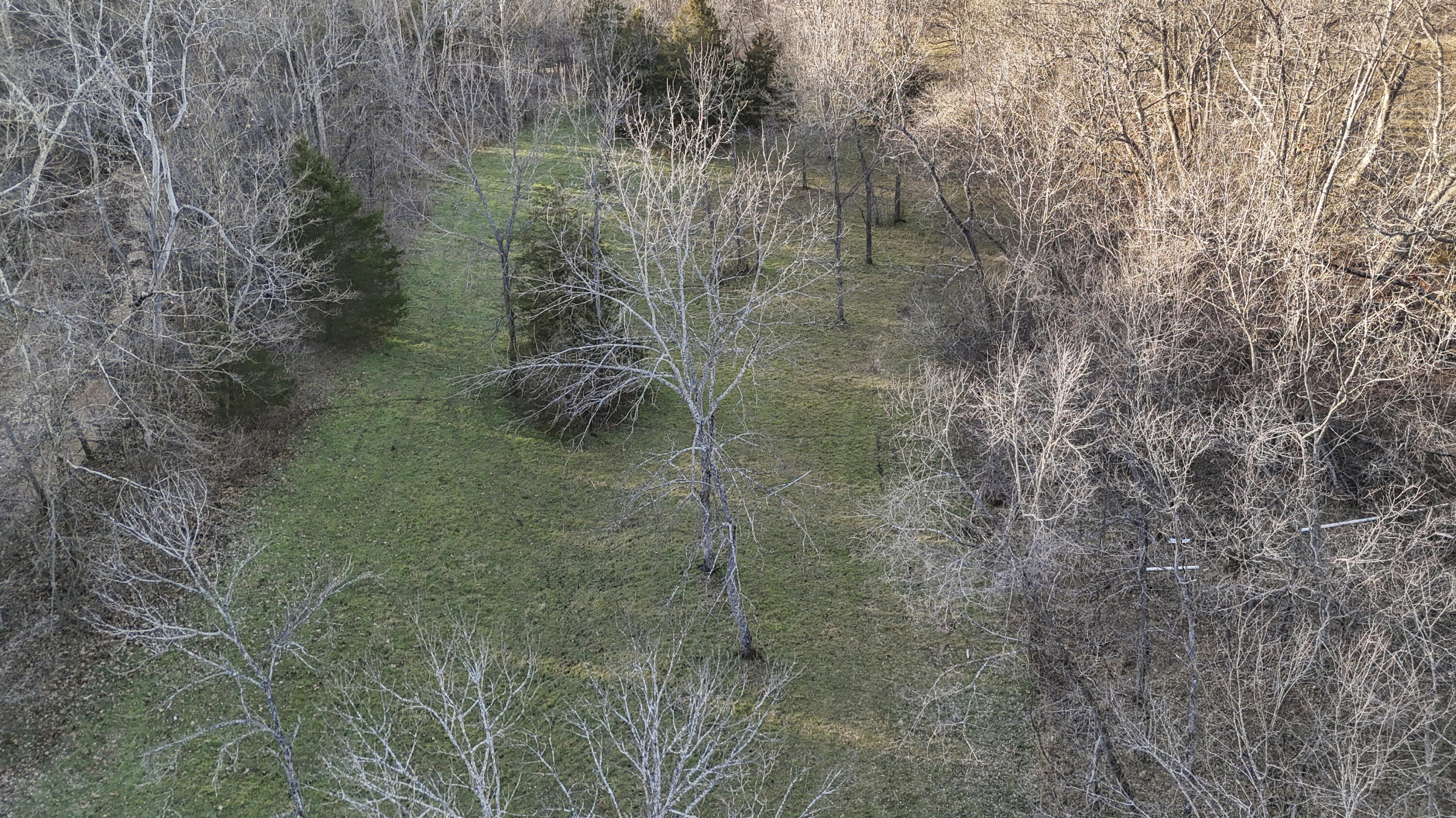 Photo 27 - Land for sale – Xoxo  Flag Springs Road   Washburn, MO