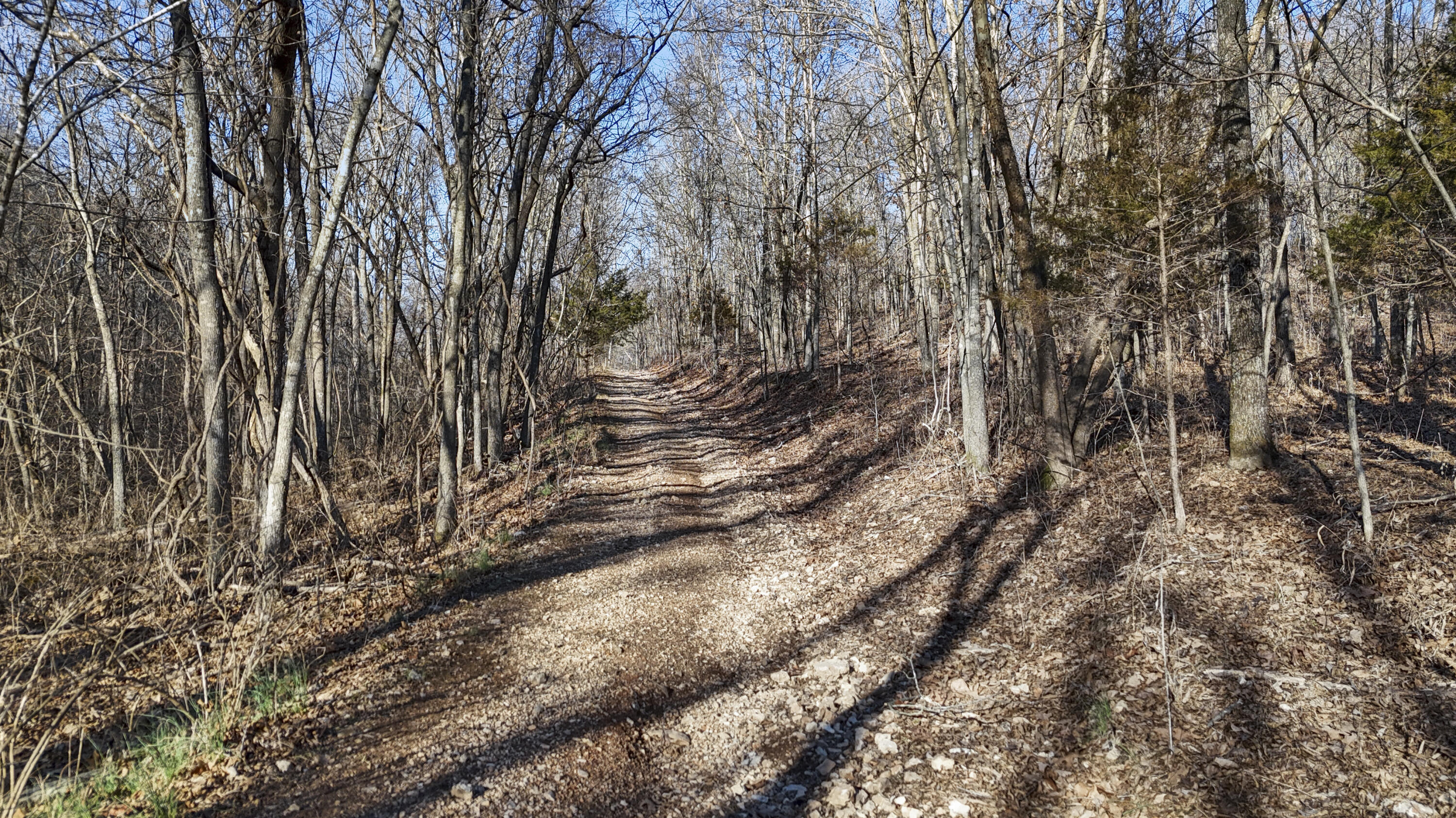 Photo 15 - Land for sale – Xoxo  Flag Springs Road   Washburn, MO