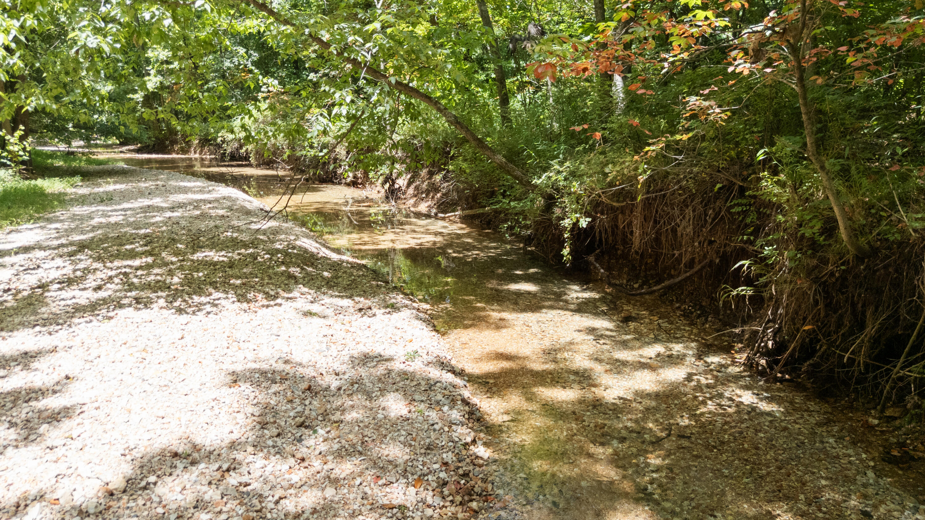 Photo 52 - Land for sale – Xoxo  Flag Springs Road   Washburn, MO
