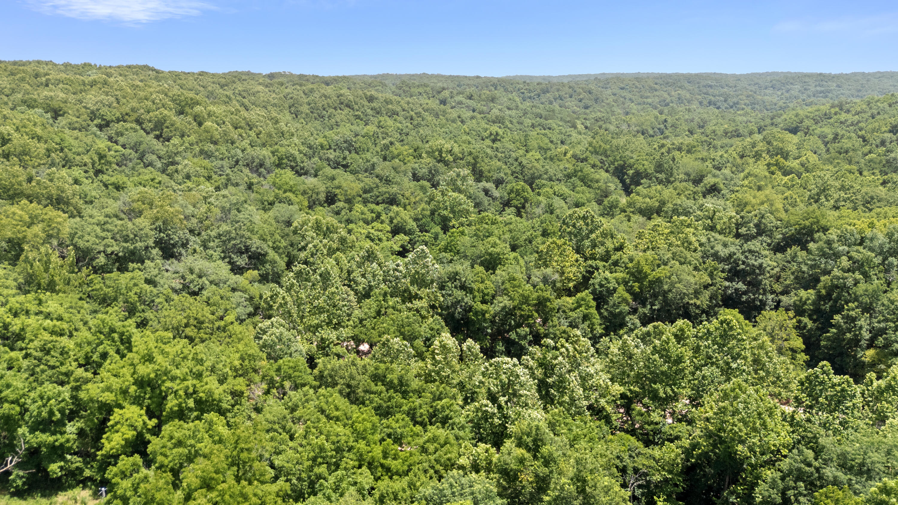 Photo 55 - Land for sale – Xoxo  Flag Springs Road   Washburn, MO