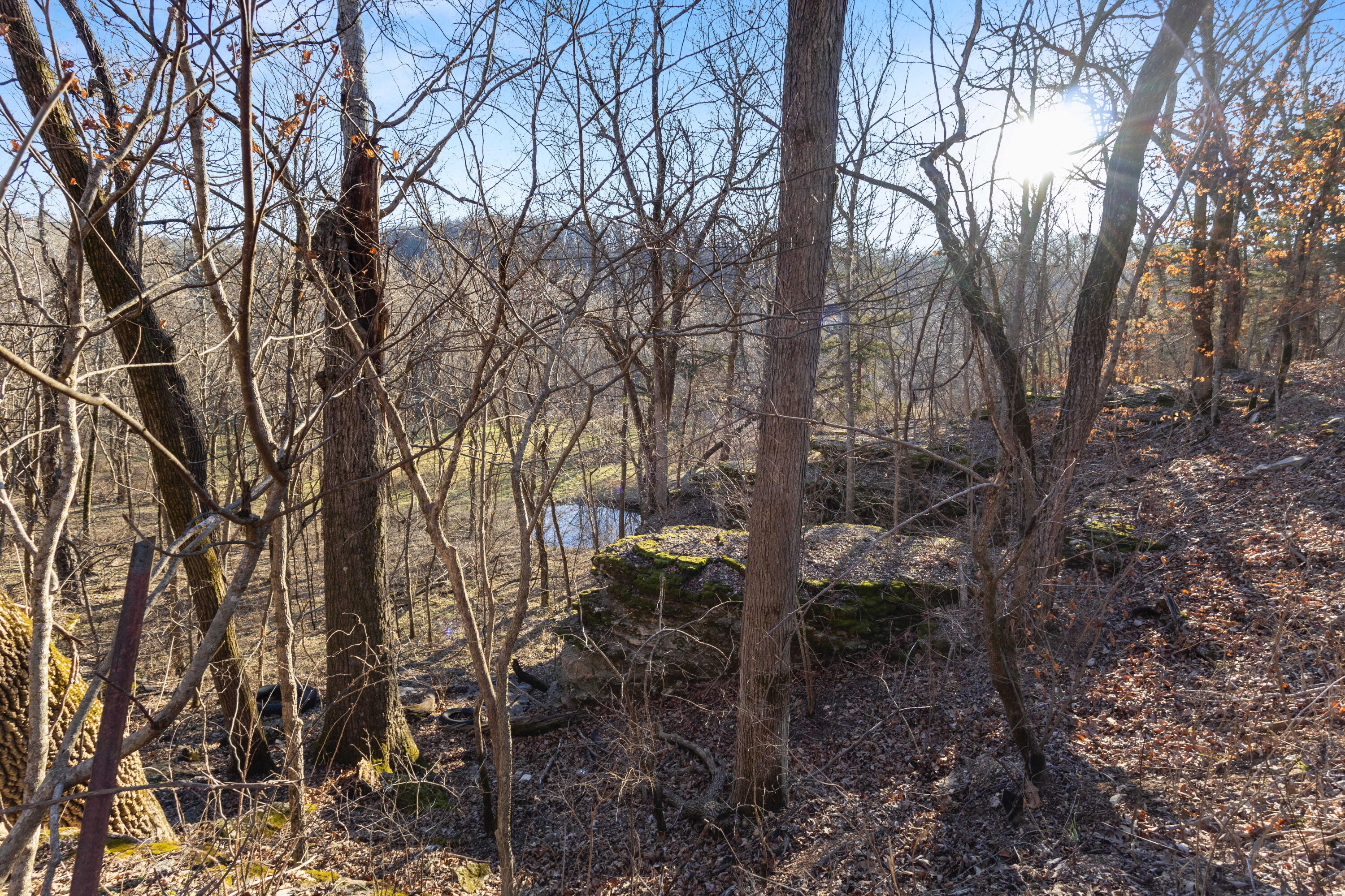 Photo 39 - Land for sale – Xoxo  Flag Springs Road   Washburn, MO