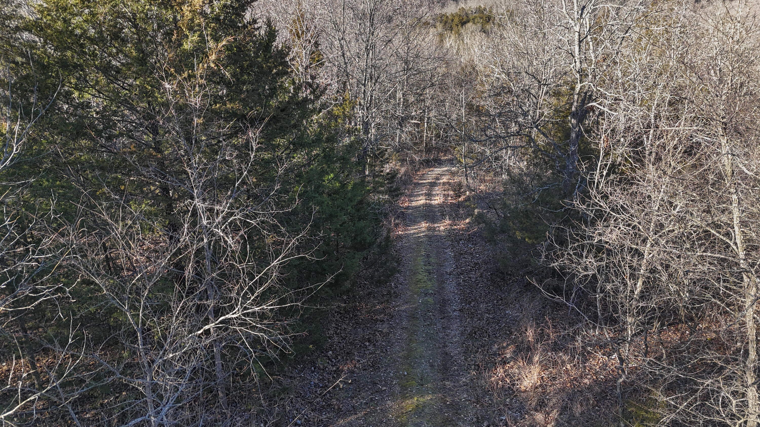 Photo 24 - Land for sale – Xoxo  Flag Springs Road   Washburn, MO