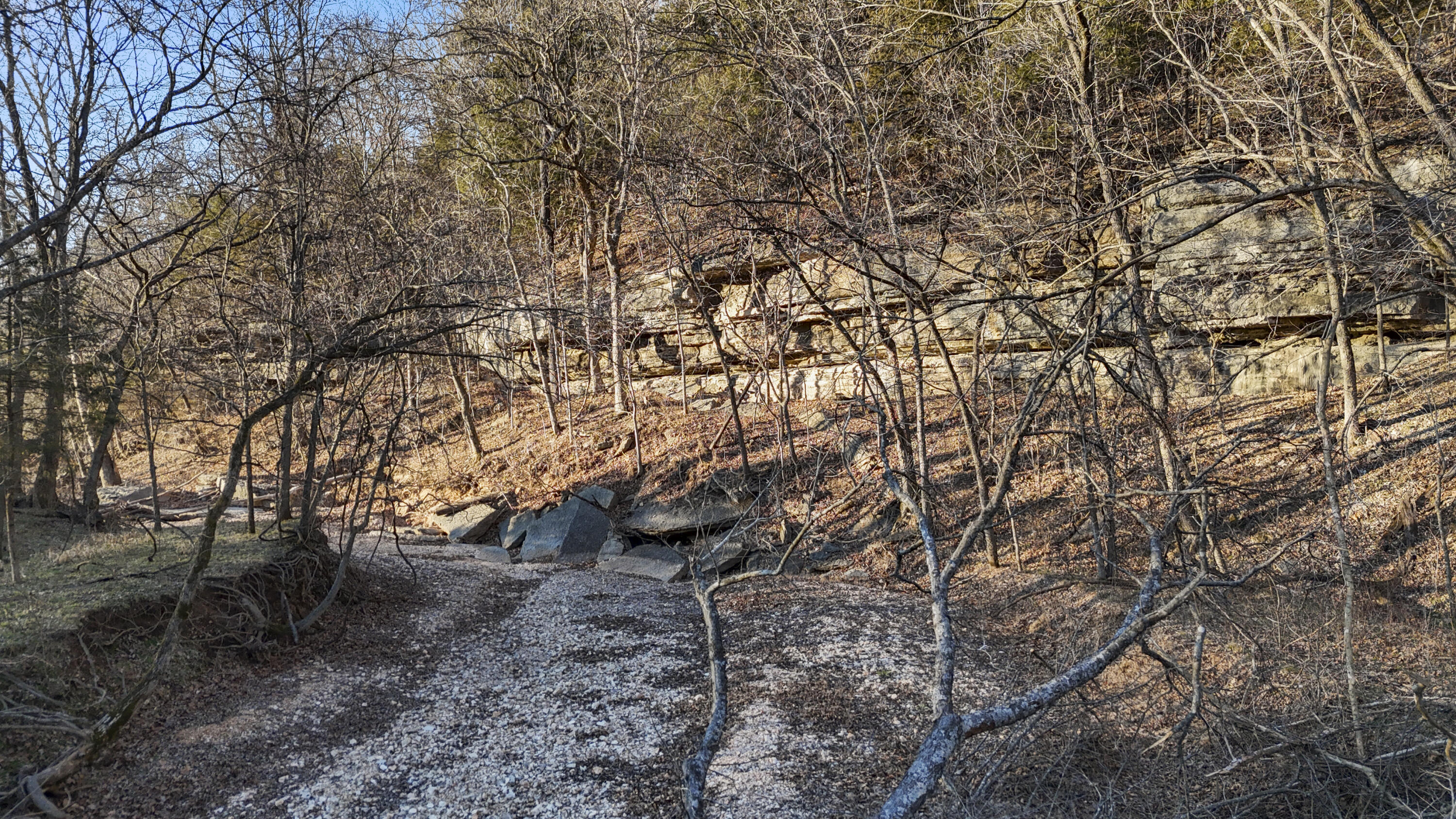 Photo 18 - Land for sale – Xoxo  Flag Springs Road   Washburn, MO