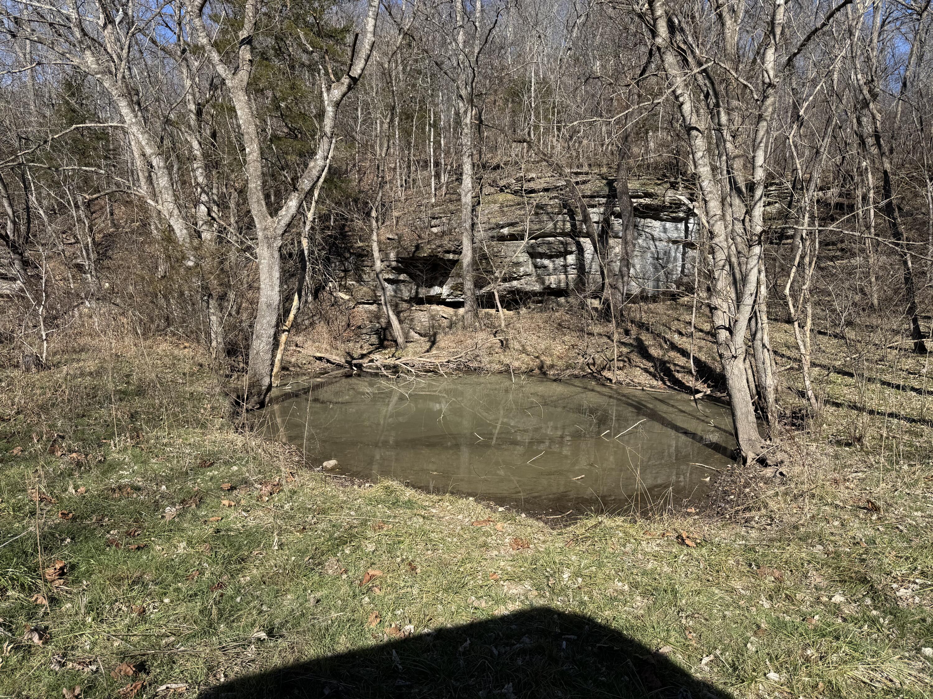 Photo 2 - Land for sale – Xoxo  Flag Springs Road   Washburn, MO