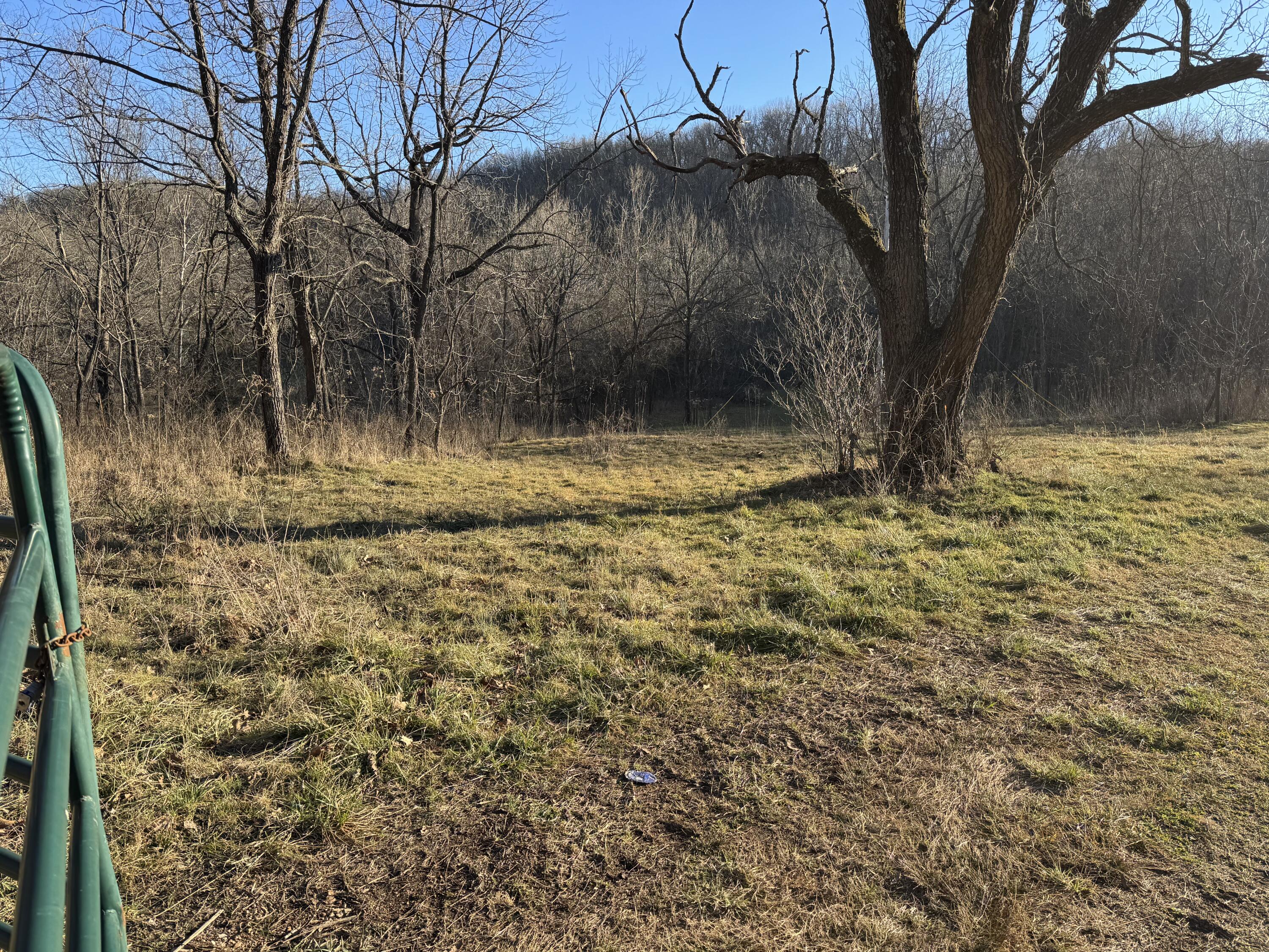 Photo 12 - Land for sale – Xoxo  Flag Springs Road   Washburn, MO