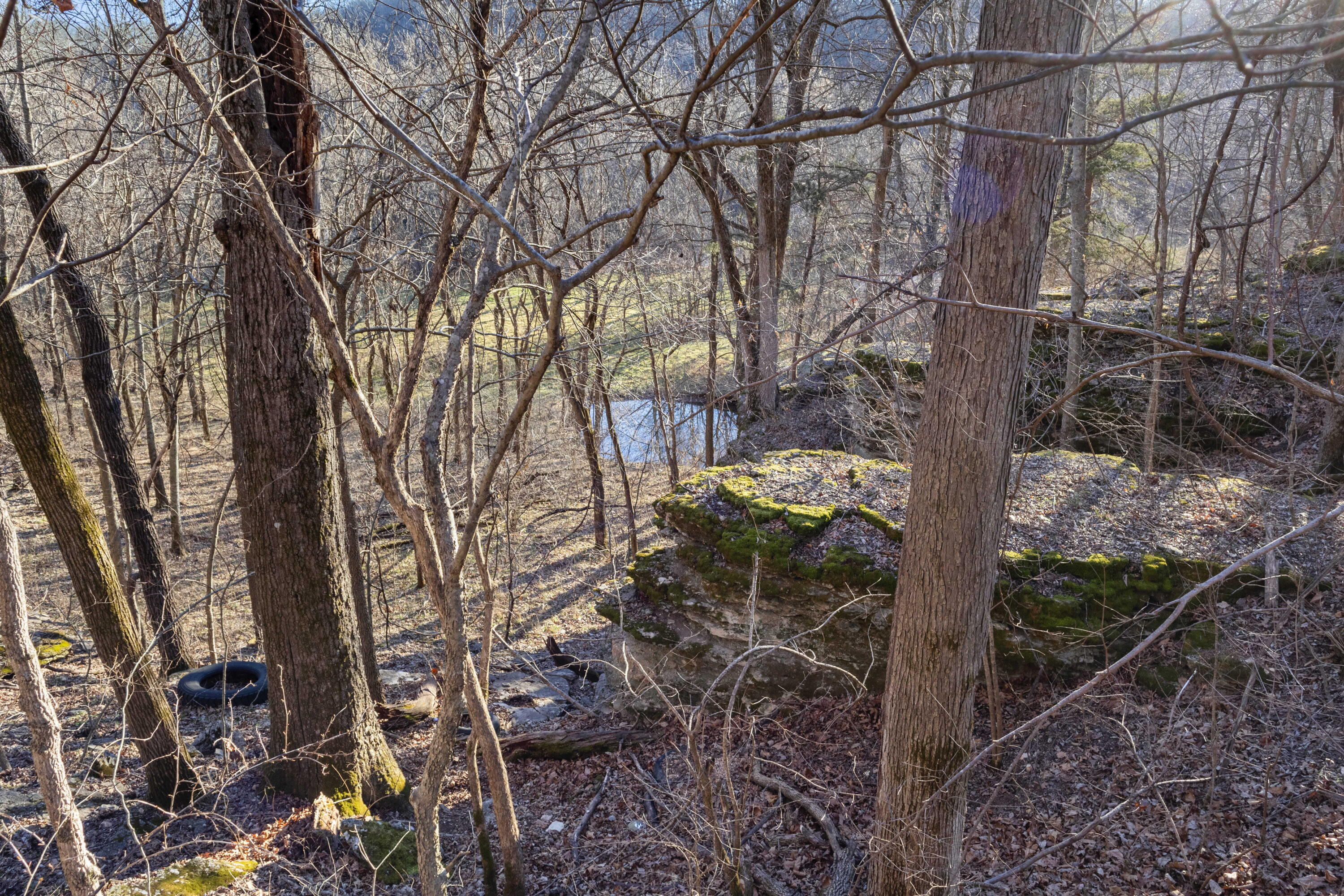 Photo 32 - Land for sale – Xoxo  Flag Springs Road   Washburn, MO