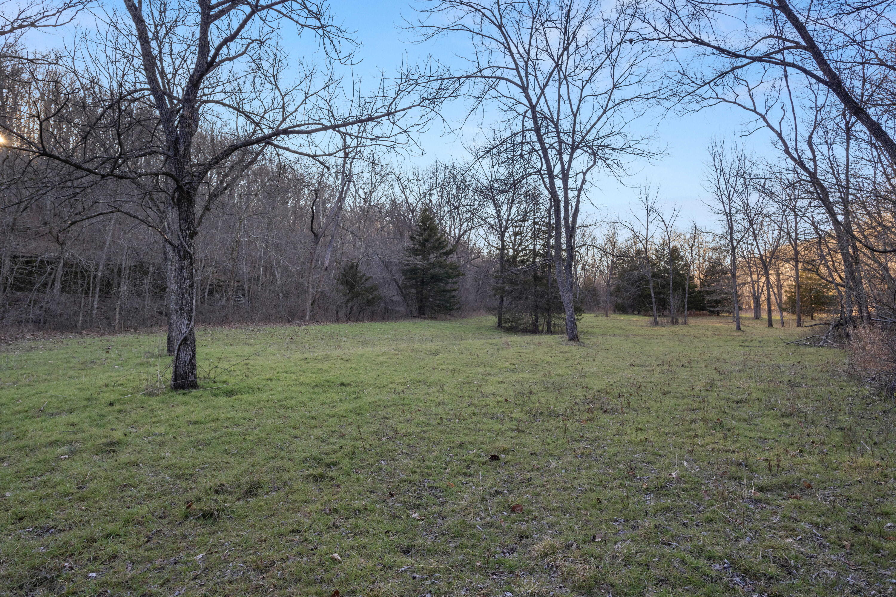 Photo 37 - Land for sale – Xoxo  Flag Springs Road   Washburn, MO