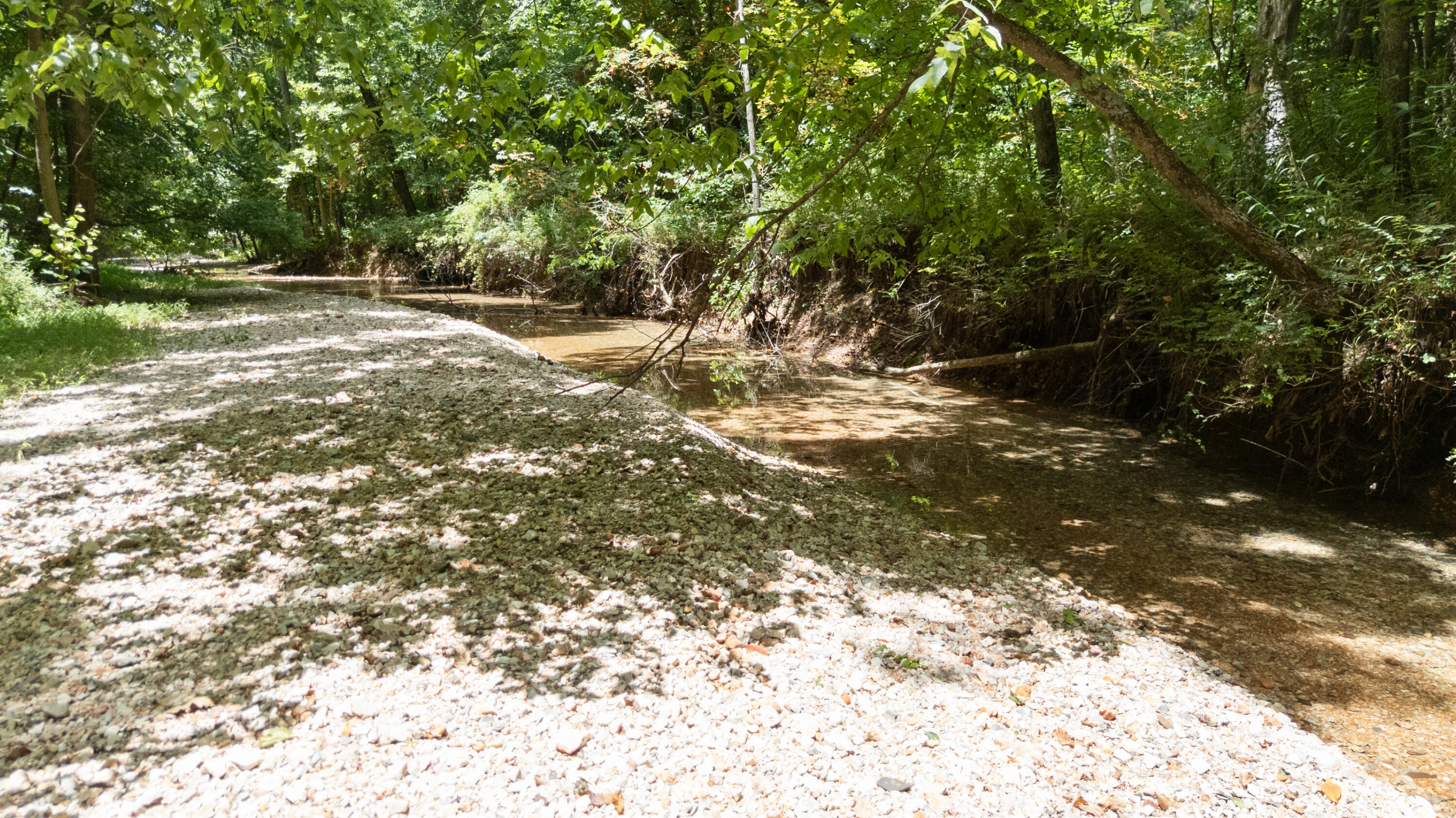 Photo 44 - Land for sale – Xoxo  Flag Springs Road   Washburn, MO