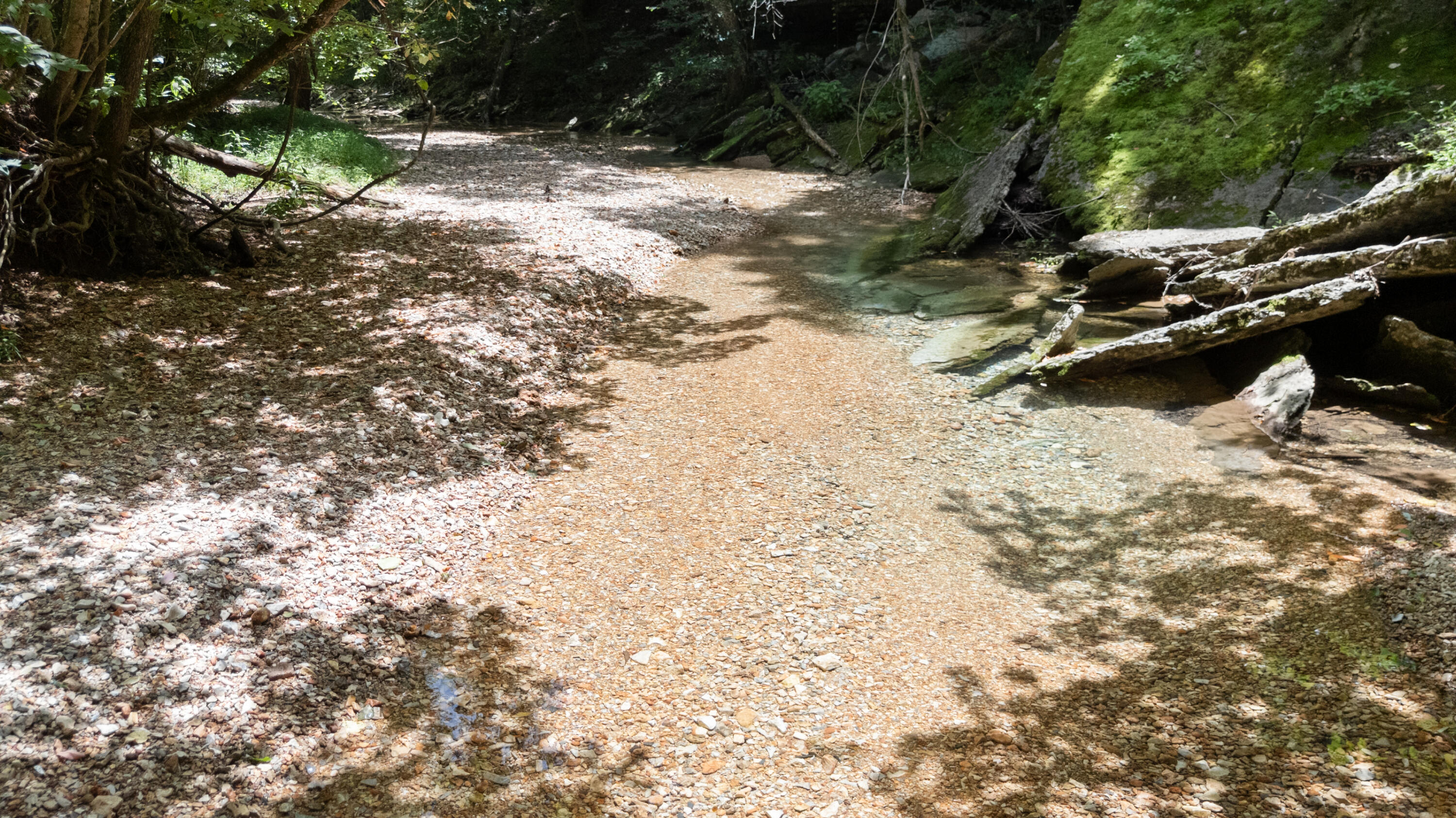 Photo 46 - Land for sale – Xoxo  Flag Springs Road   Washburn, MO