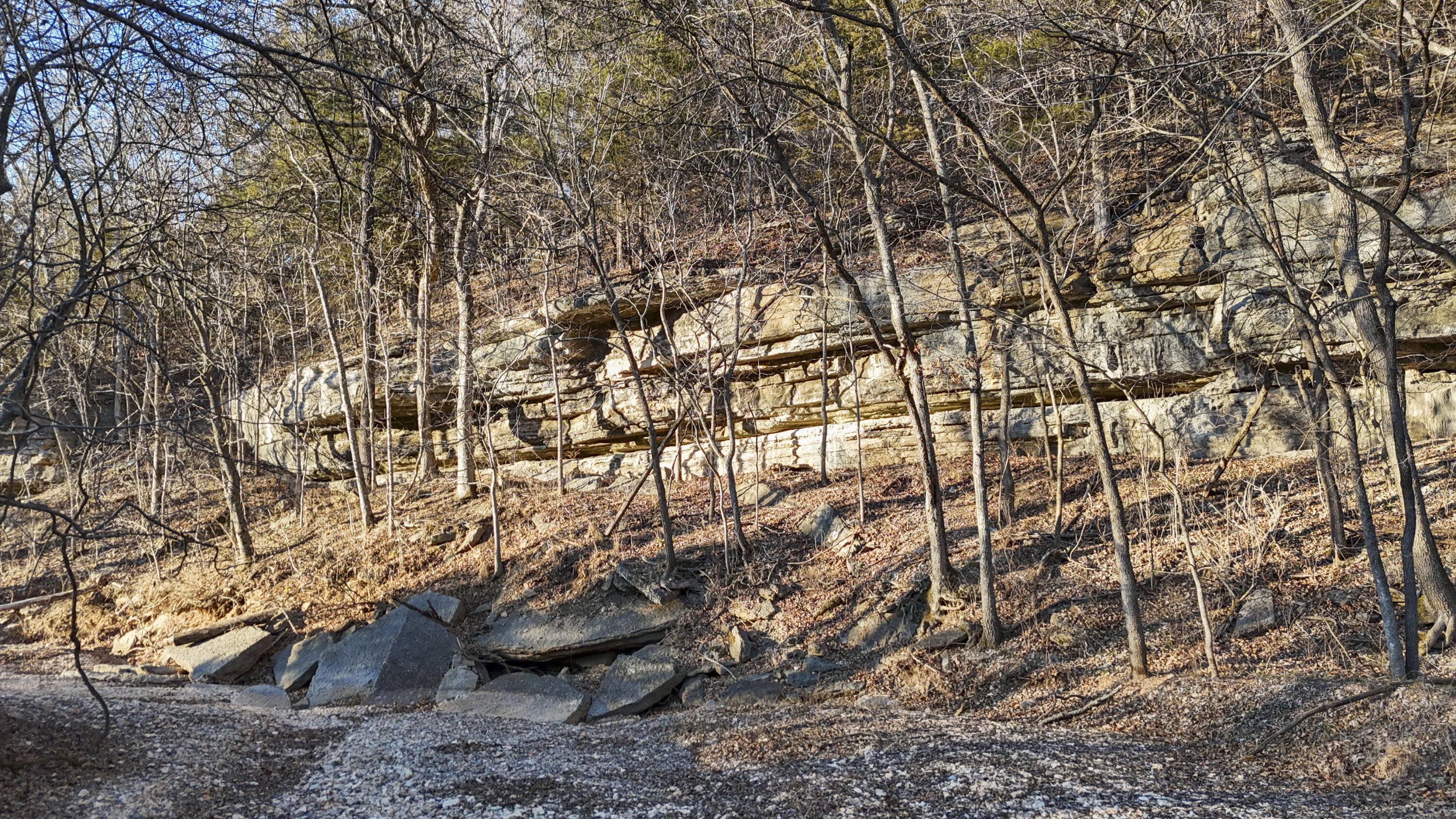Photo 17 - Land for sale – Xoxo  Flag Springs Road   Washburn, MO